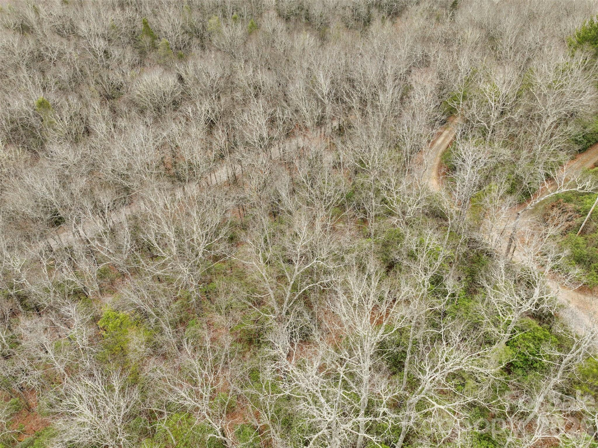Lot 12 Patton Thicket Road - Photo 9