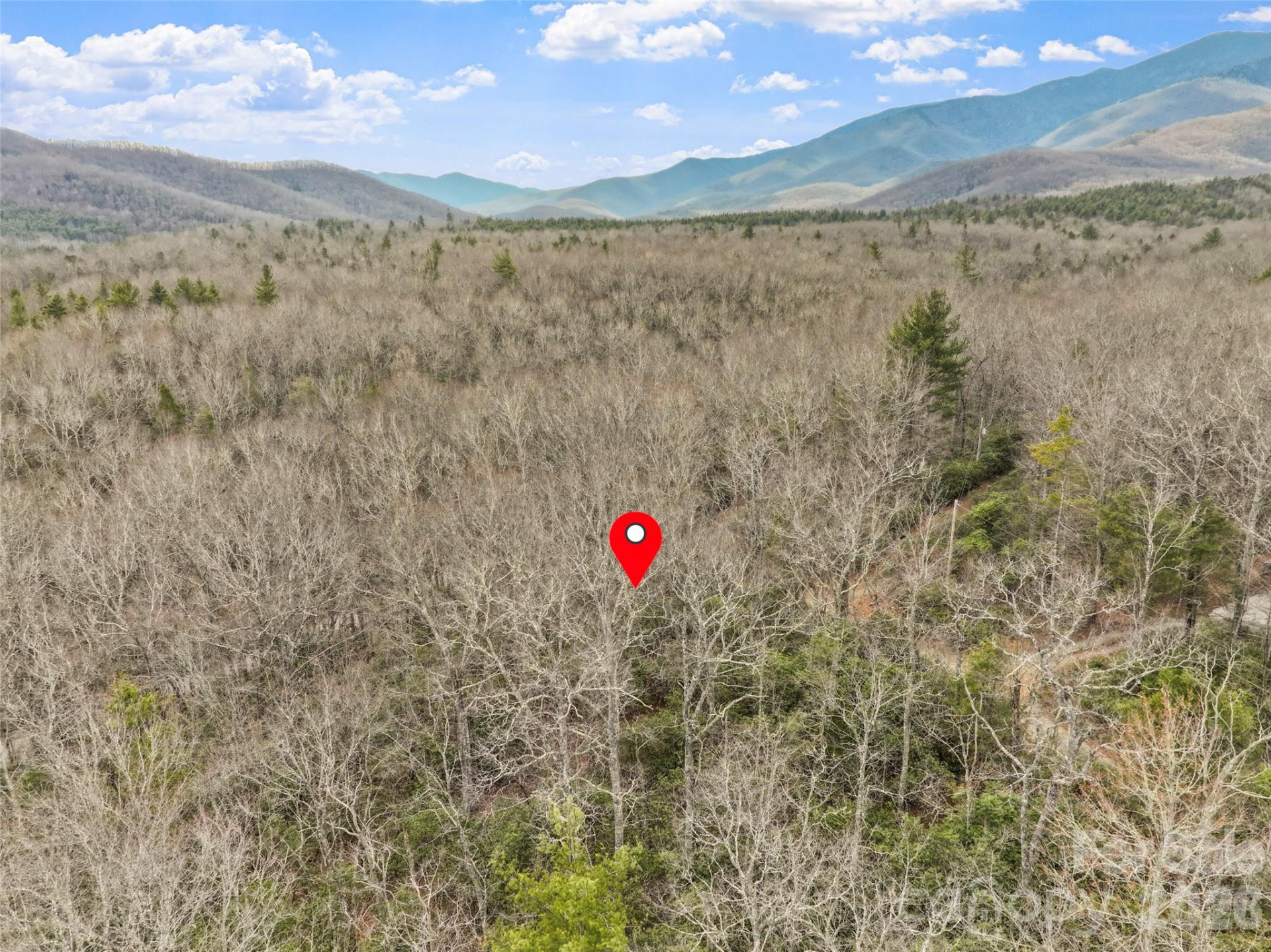 Lot 12 Patton Thicket Road - Photo 10