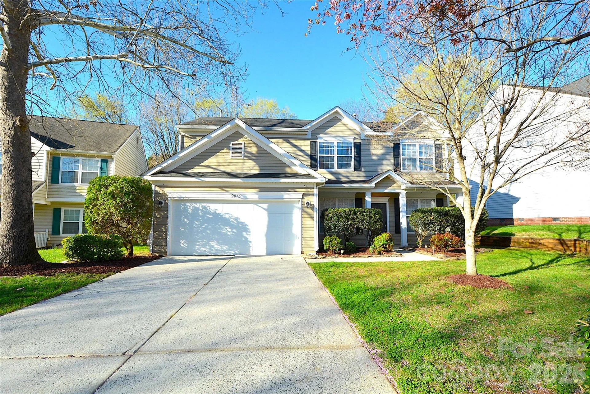 9815 Steed Court