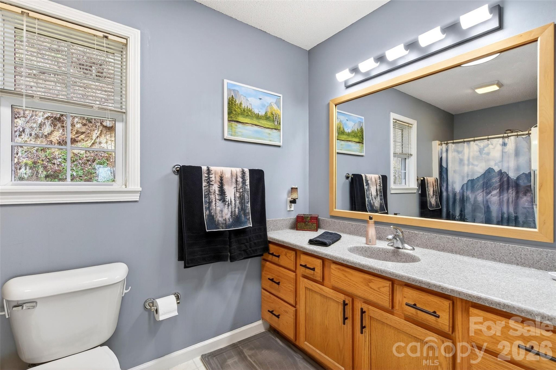 120 Mountain Mist Lane - Photo 27