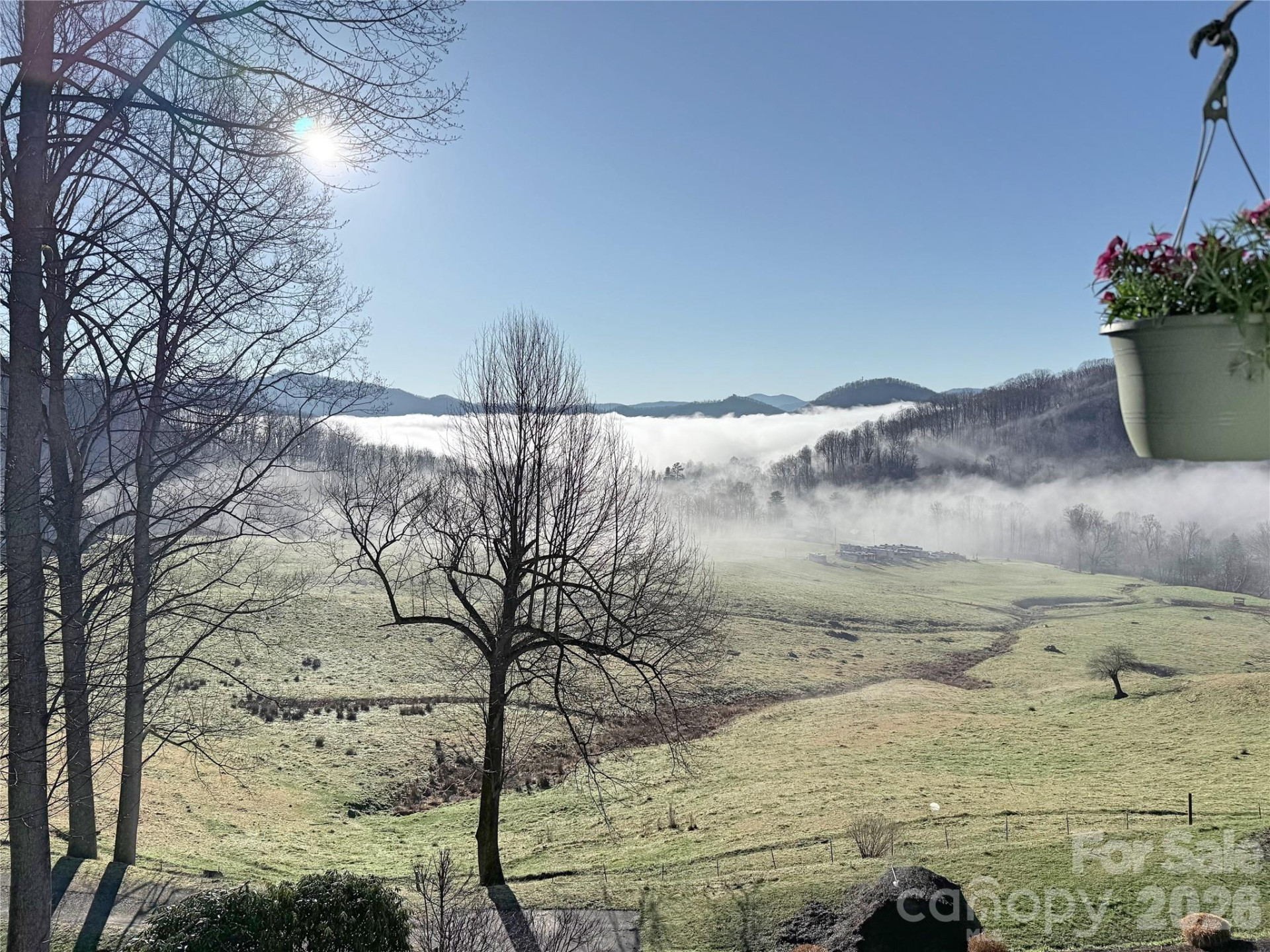 120 Mountain Mist Lane - Photo 4