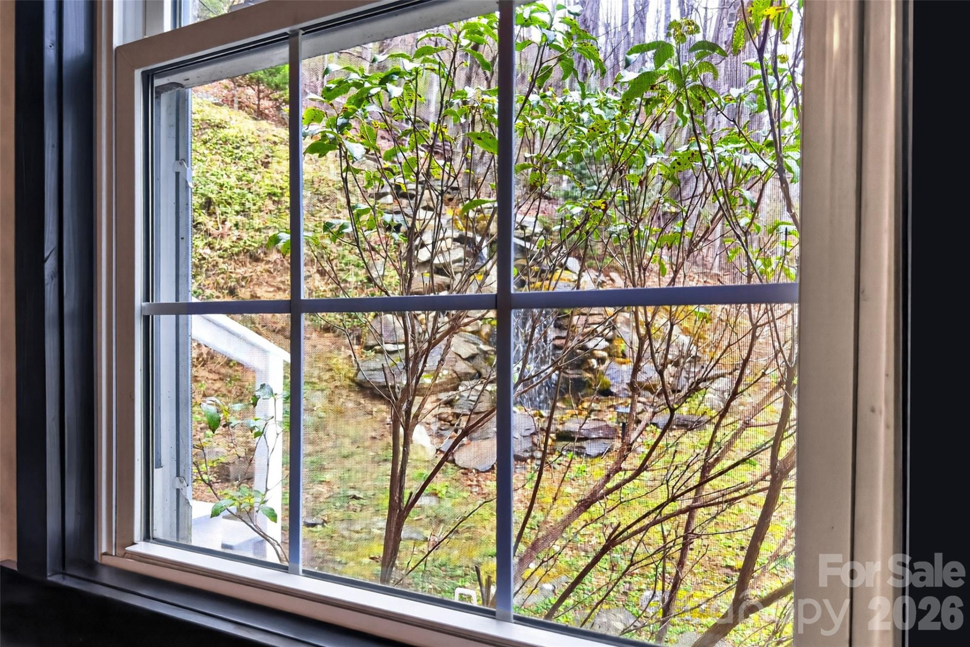 120 Mountain Mist Lane - Photo 44