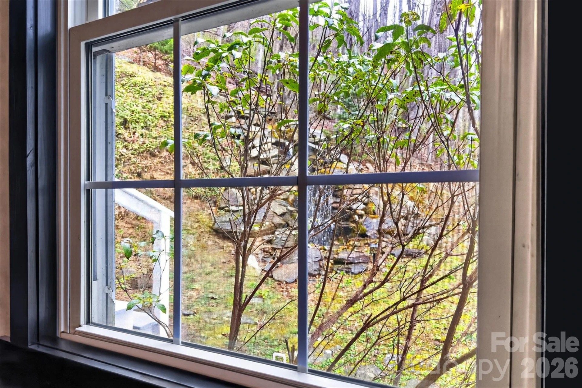 120 Mountain Mist Lane - Photo 44