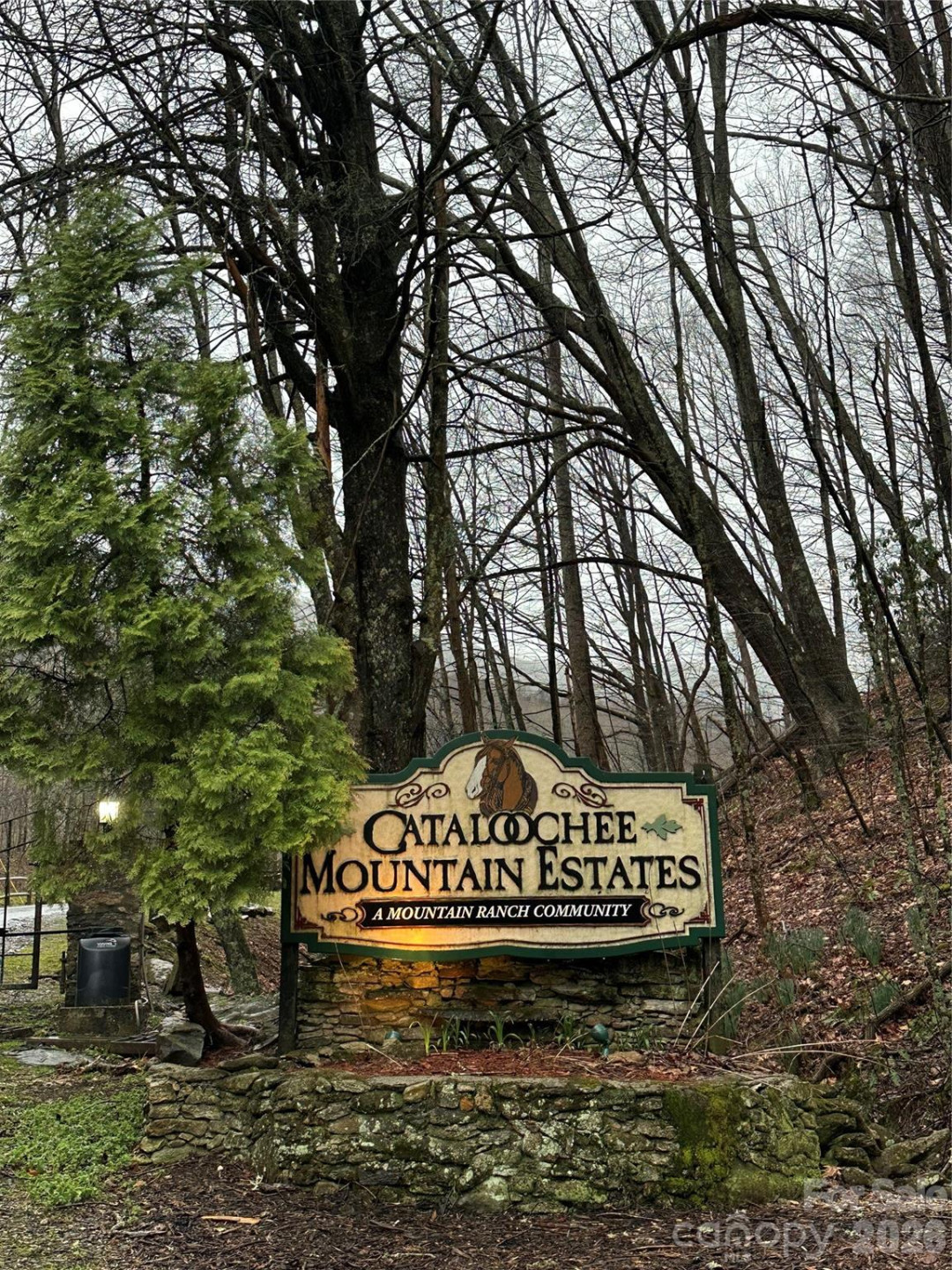 616 Appaloosa Trail - Photo 40