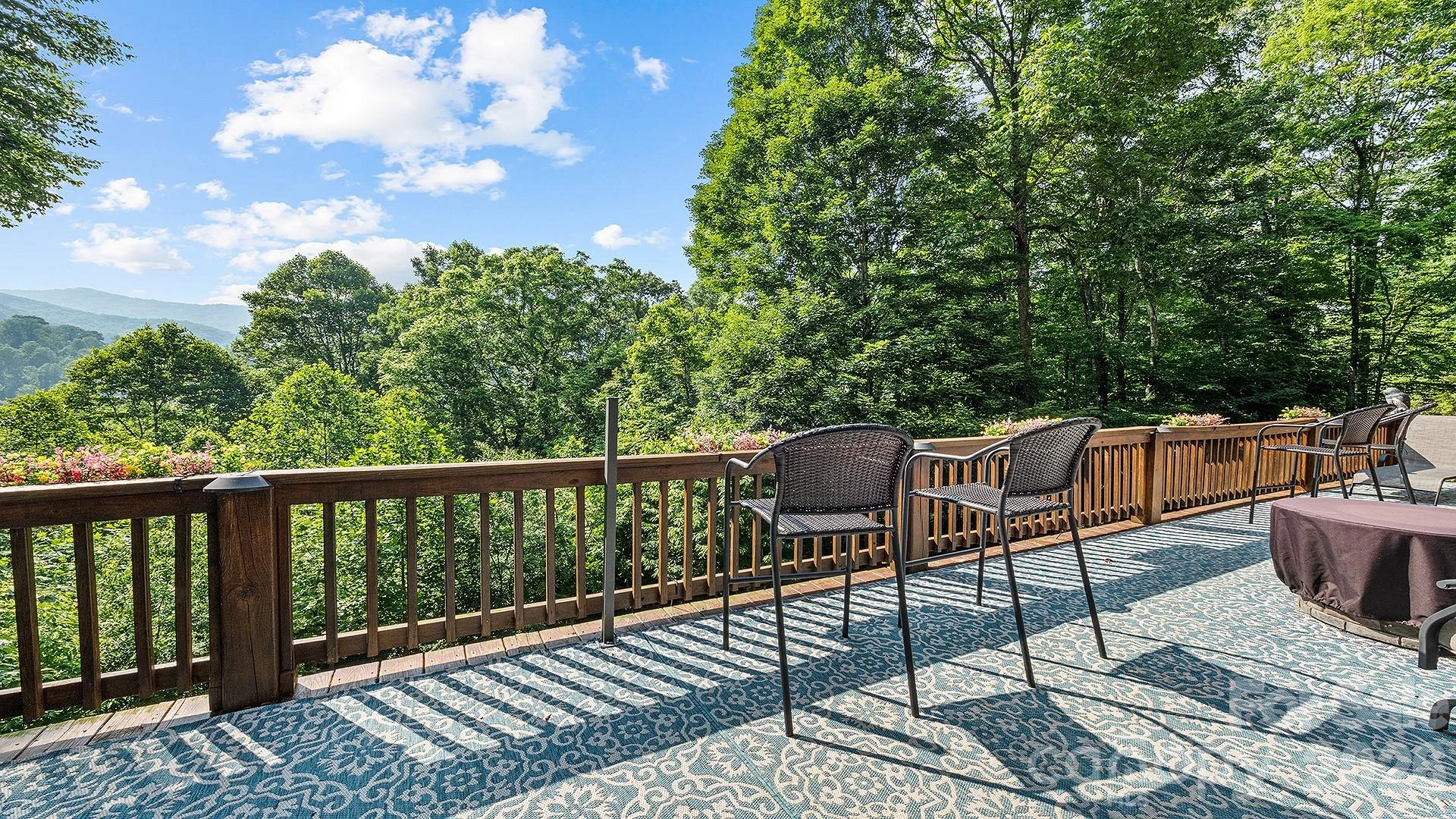 616 Appaloosa Trail - Photo 6