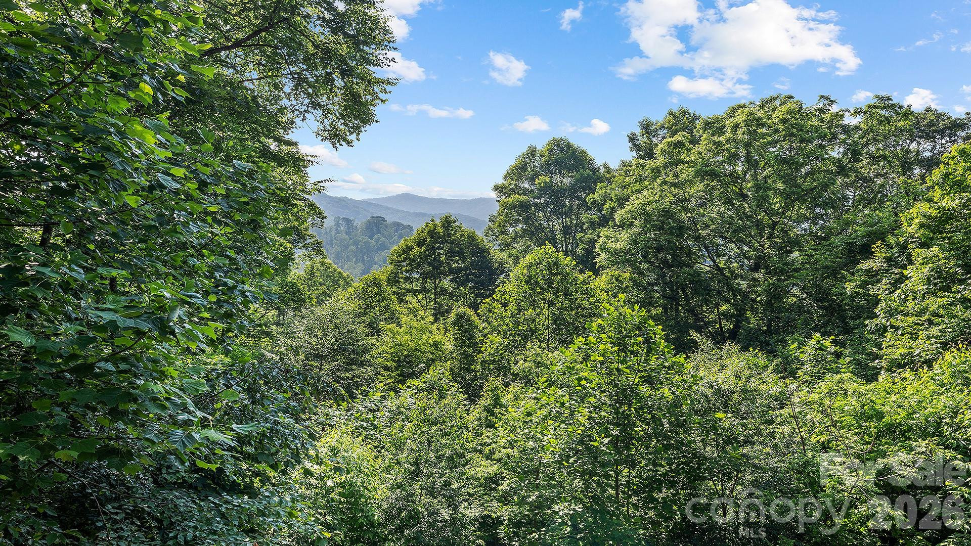 616 Appaloosa Trail - Photo 8