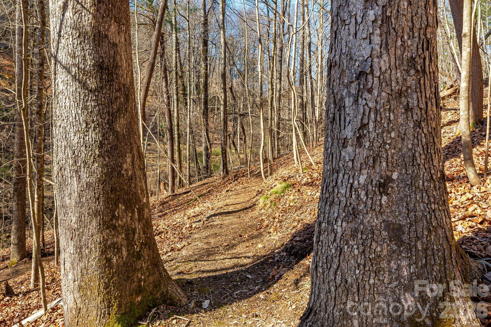 348 Big Raven Lane - Photo 33