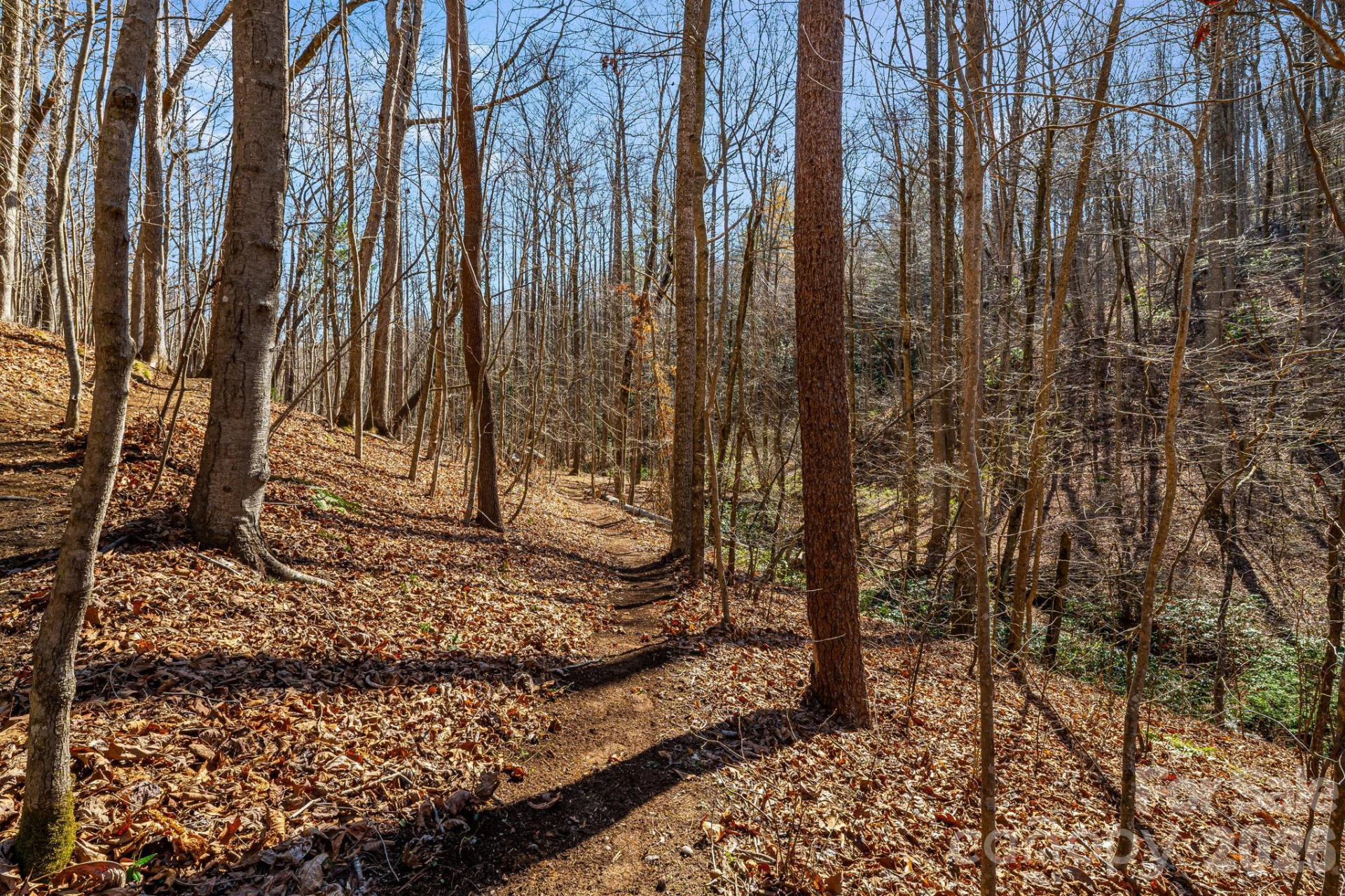 348 Big Raven Lane - Photo 34