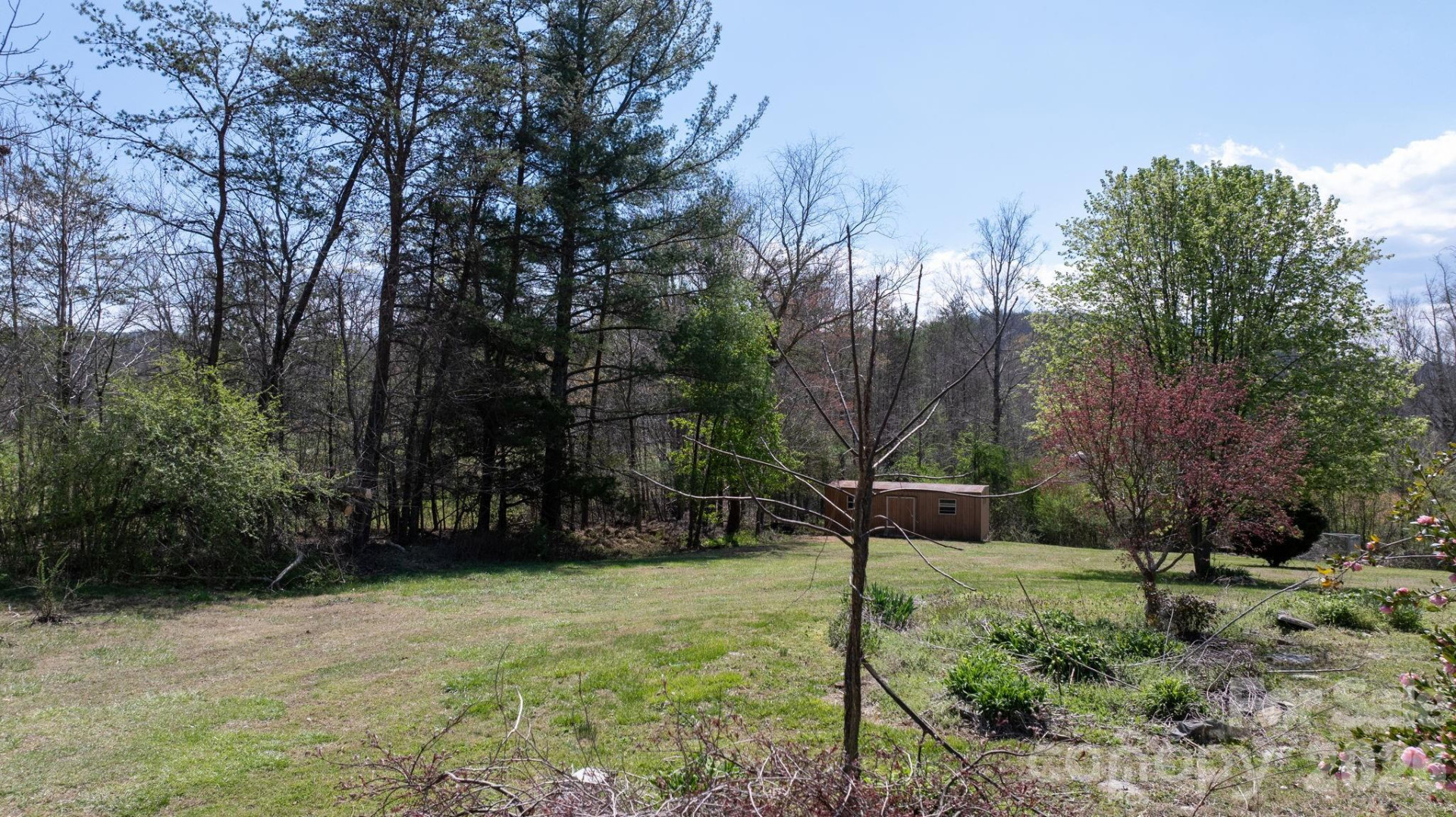 103 Bernice Street - Photo 39