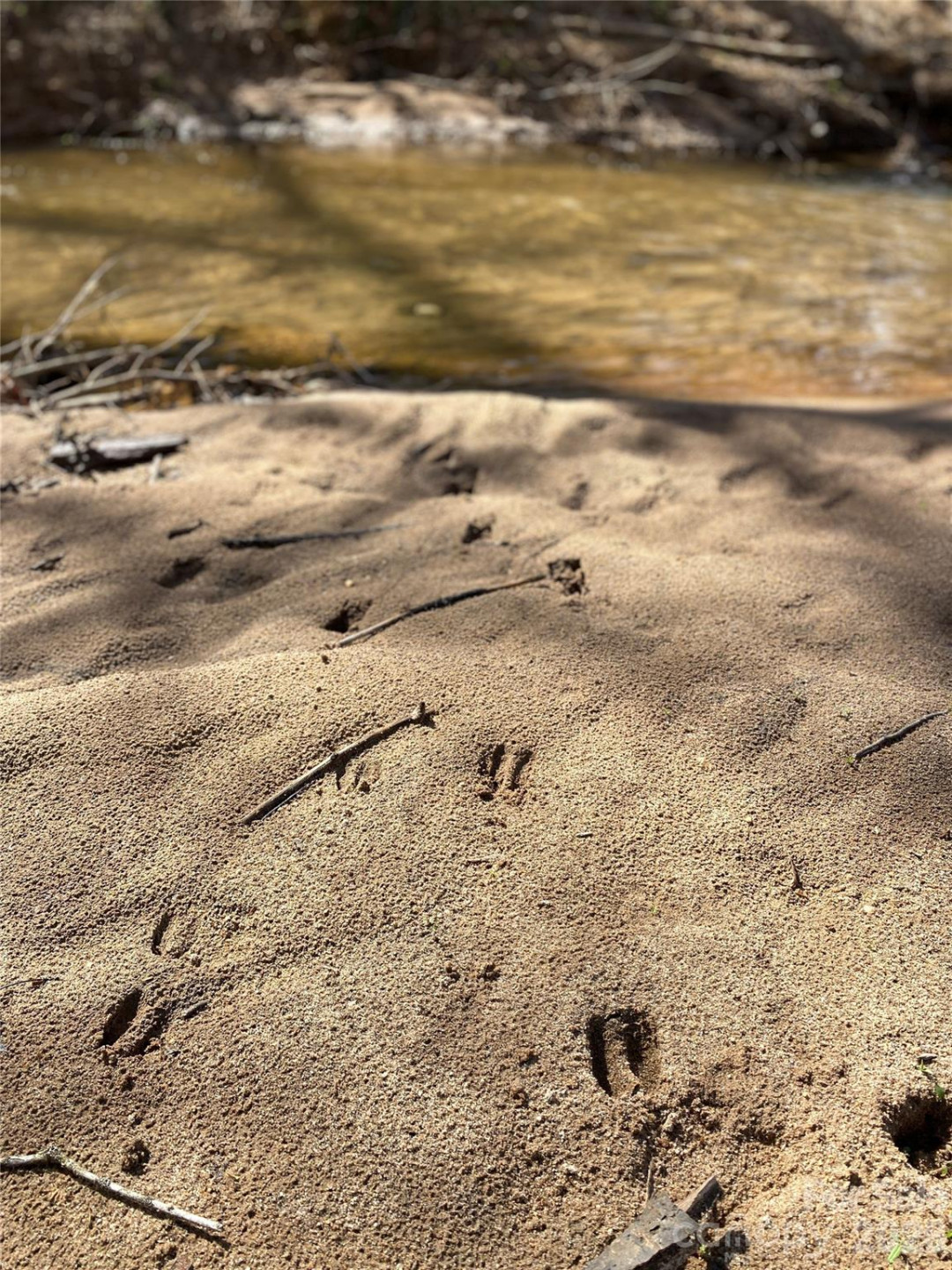 0 Coxe Road - Photo 17