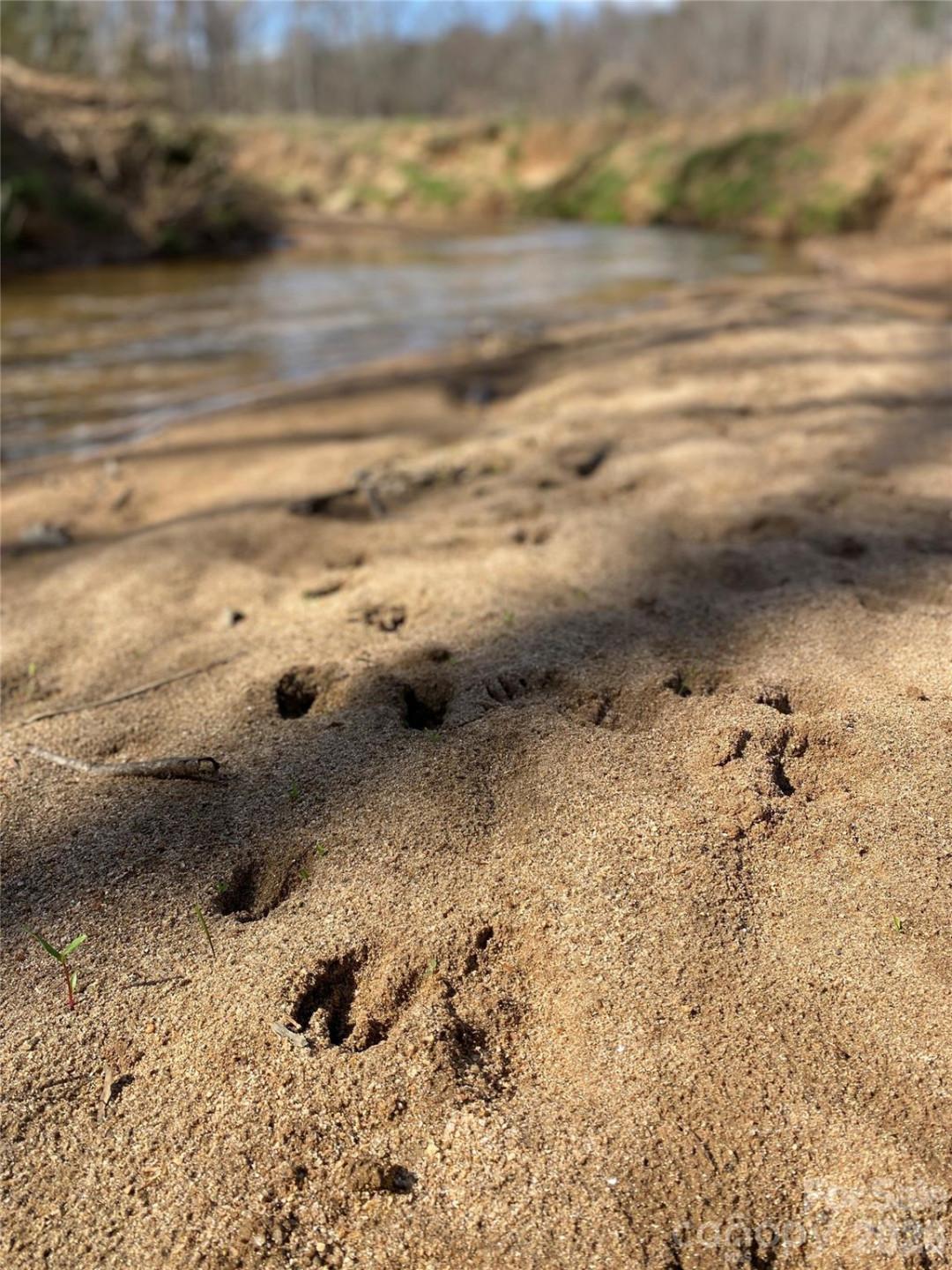 0 Coxe Road - Photo 18