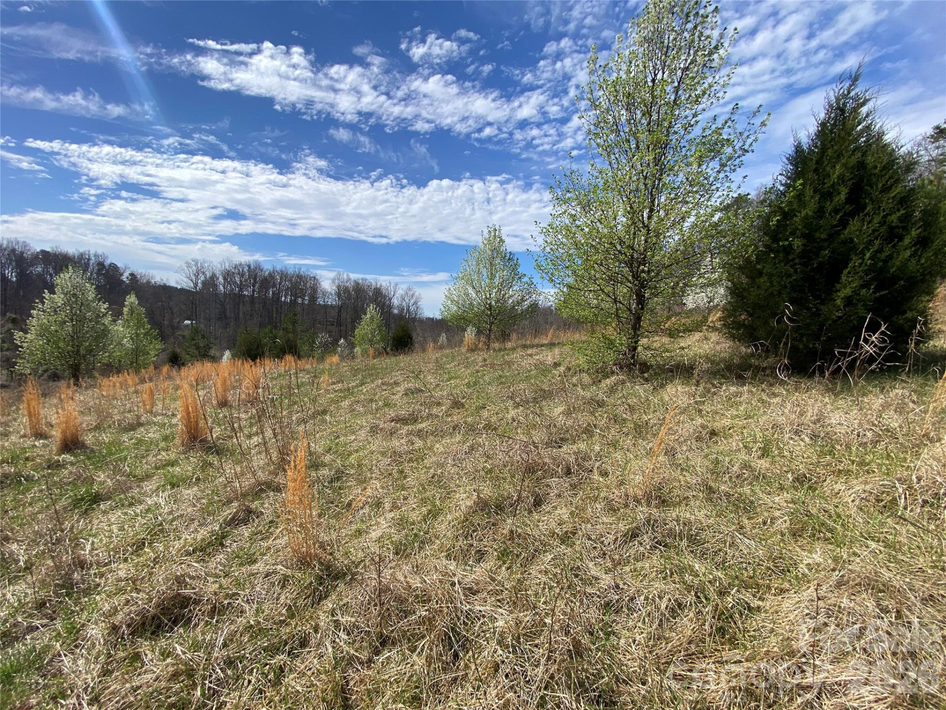 0 Coxe Road - Photo 19