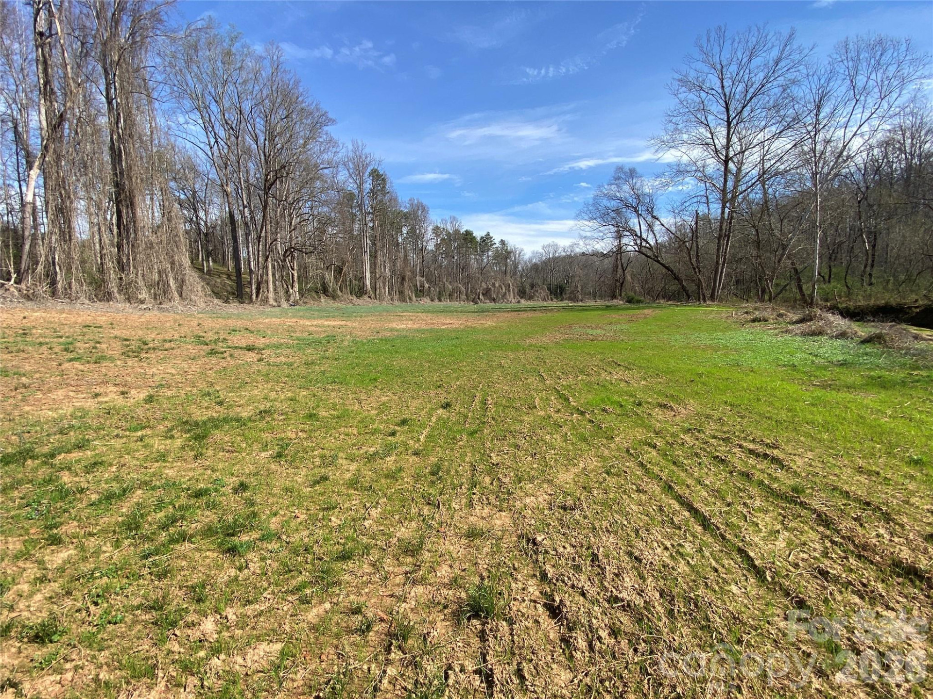 0 Coxe Road - Photo 3