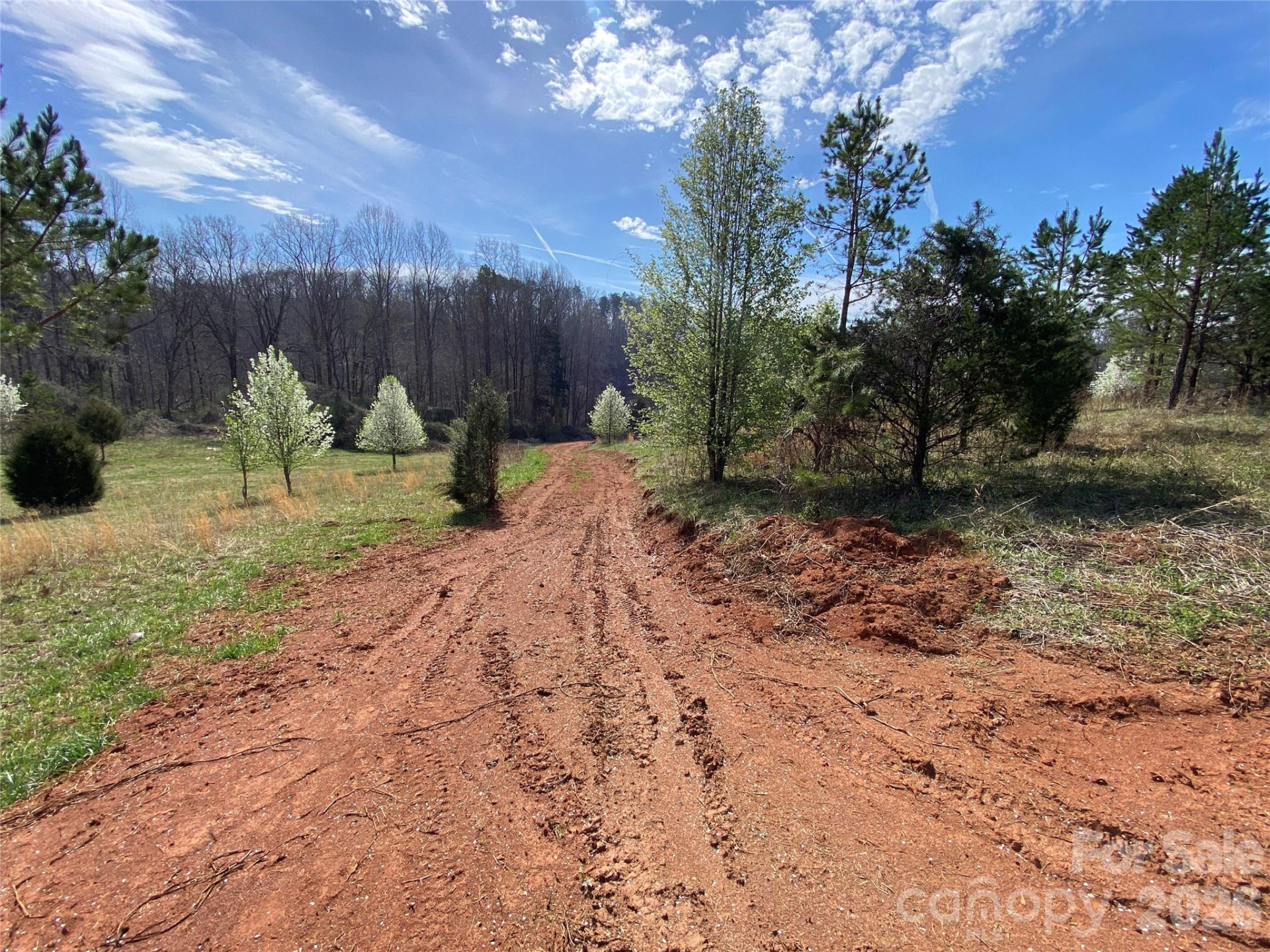 0 Coxe Road - Photo 9