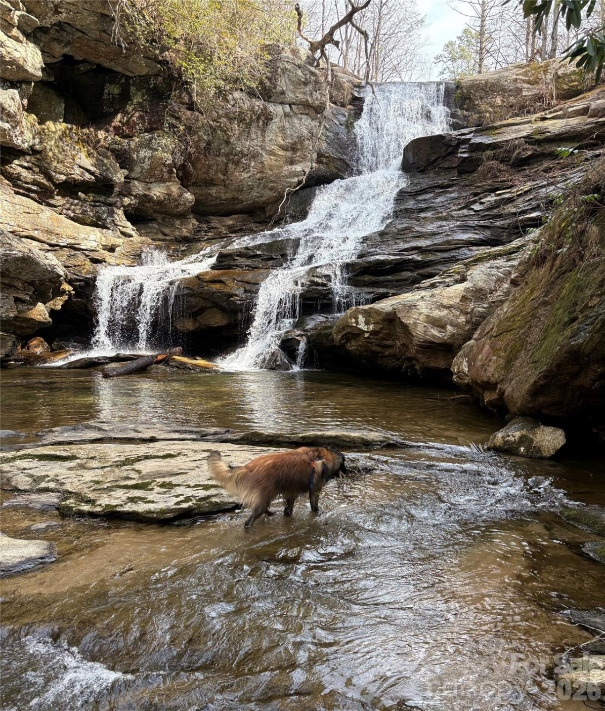 00000 Ashley Bend Trail #43 - Photo 16