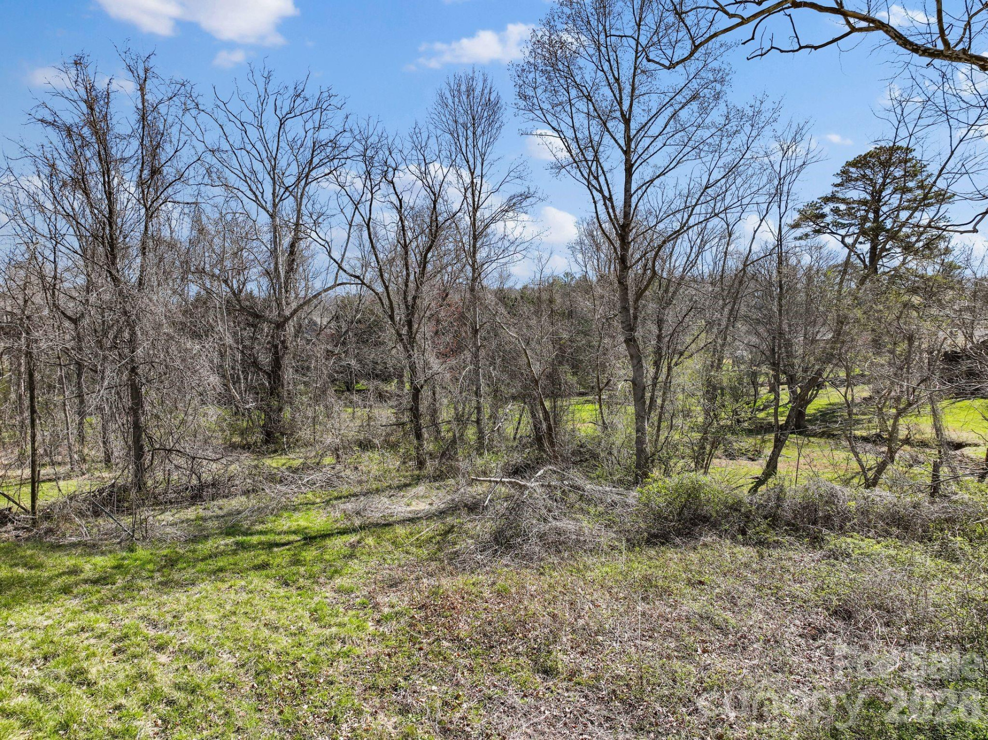 99999 New Haw Creek Road - Photo 25