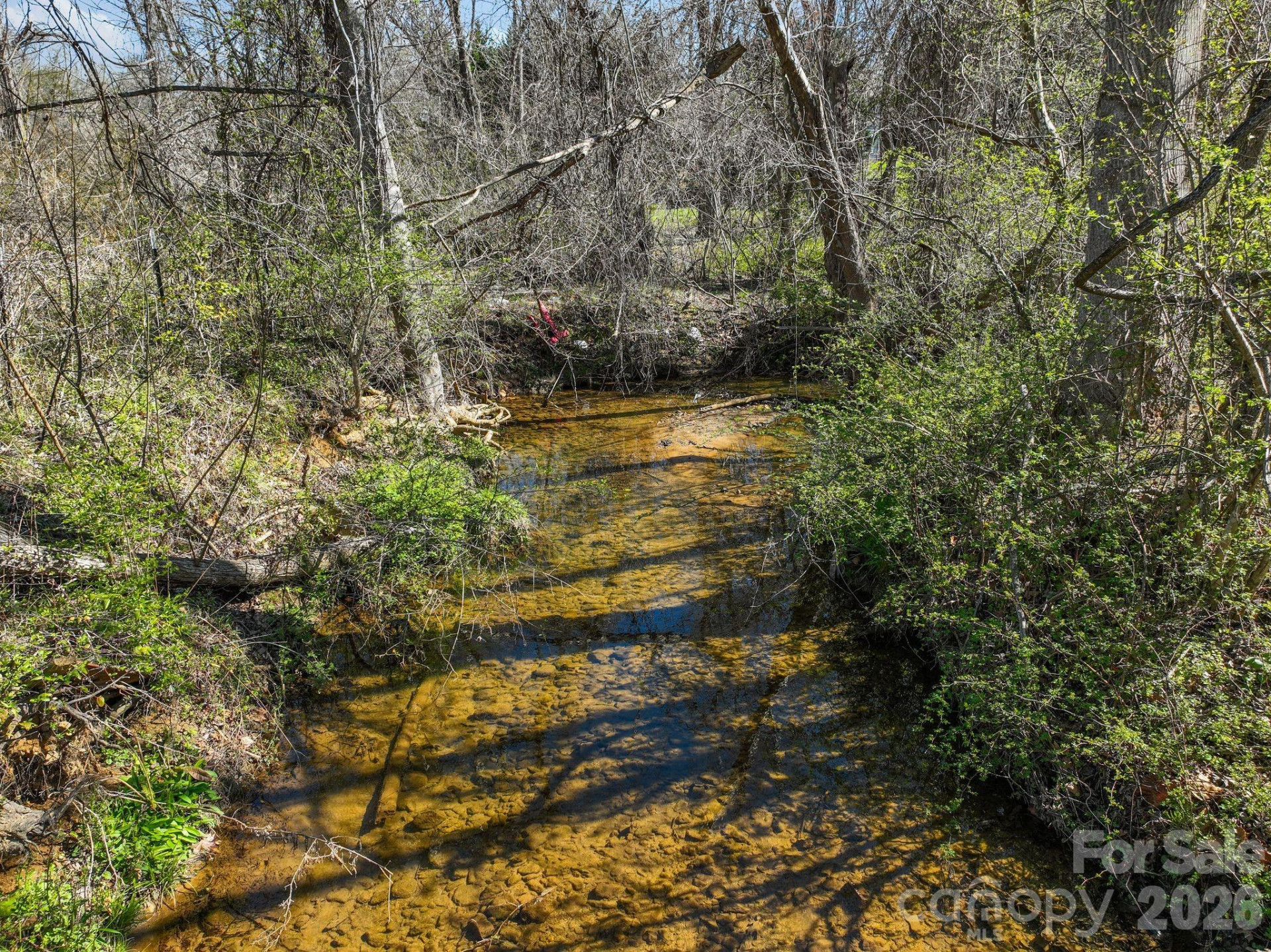 99999 New Haw Creek Road - Photo 28