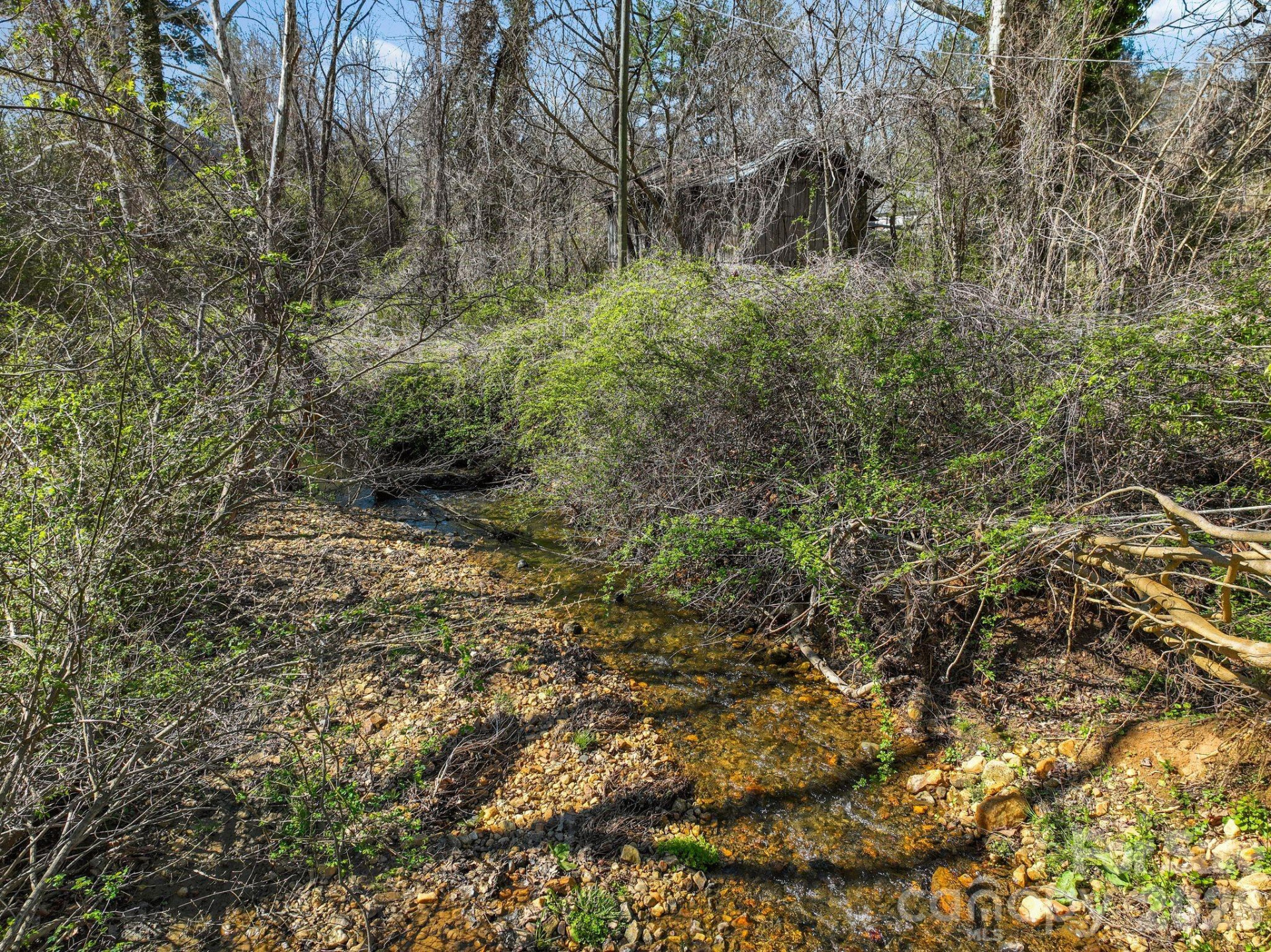 99999 New Haw Creek Road - Photo 29