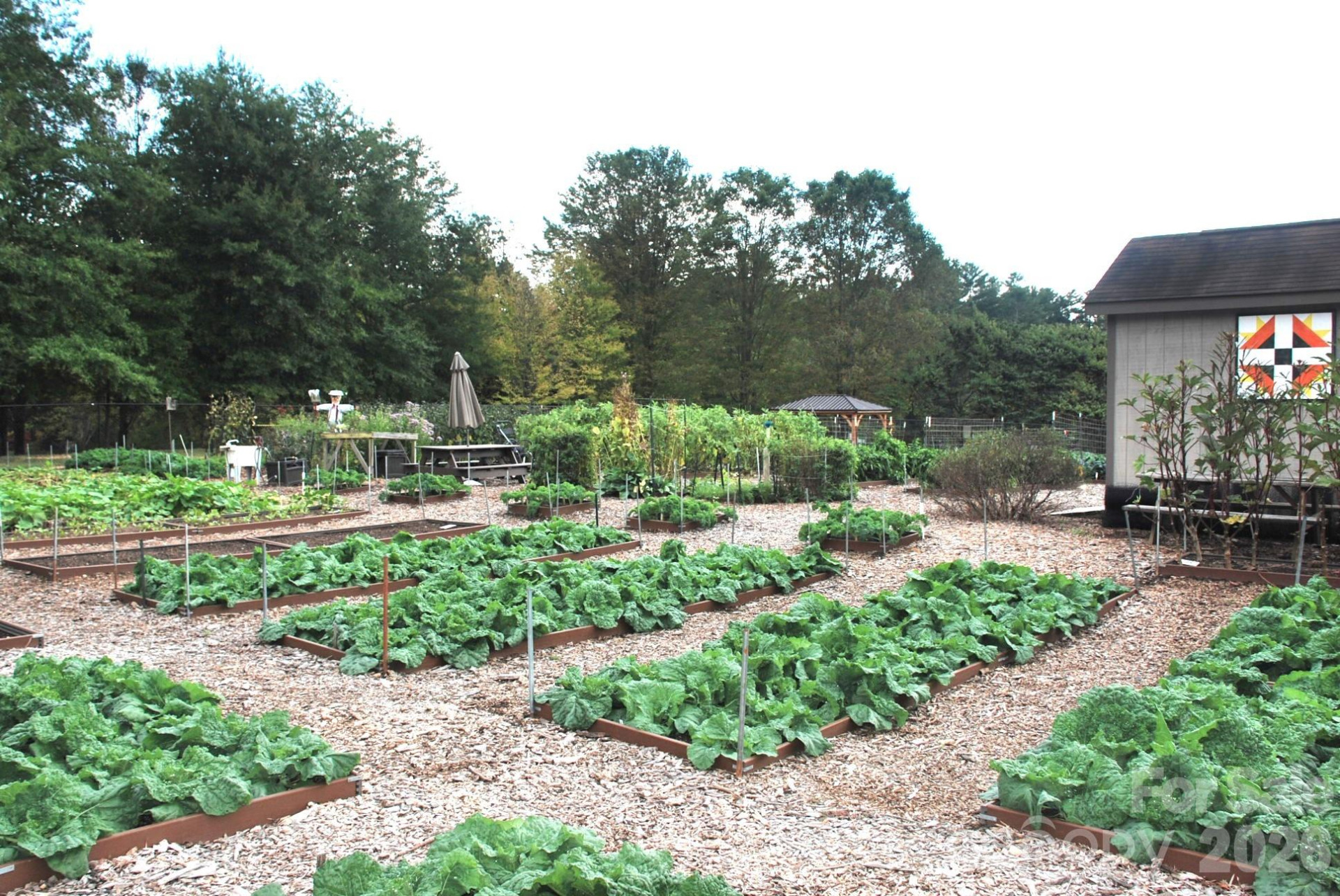 156 Triple Fairways Drive - Photo 20