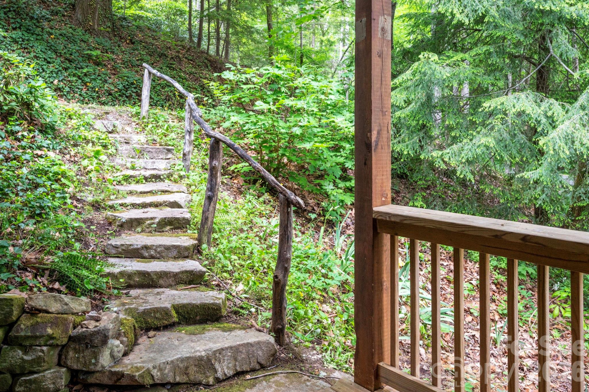 14 Weeping Cherry Forest Road - Photo 11