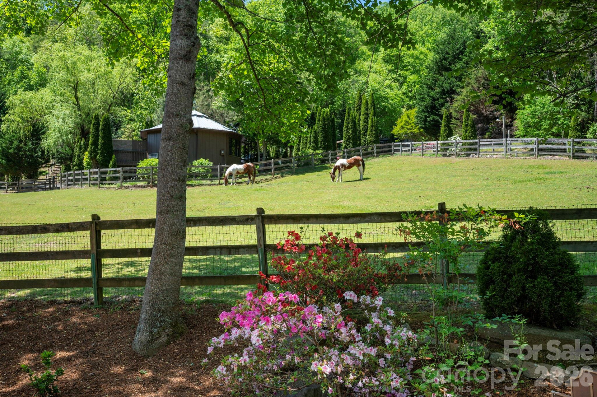 14 Weeping Cherry Forest Road - Photo 28