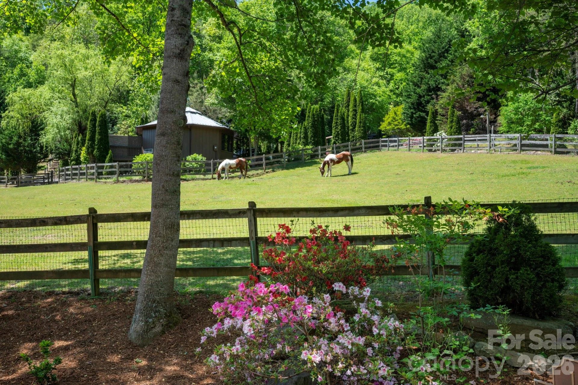 14 Weeping Cherry Forest Road - Photo 28