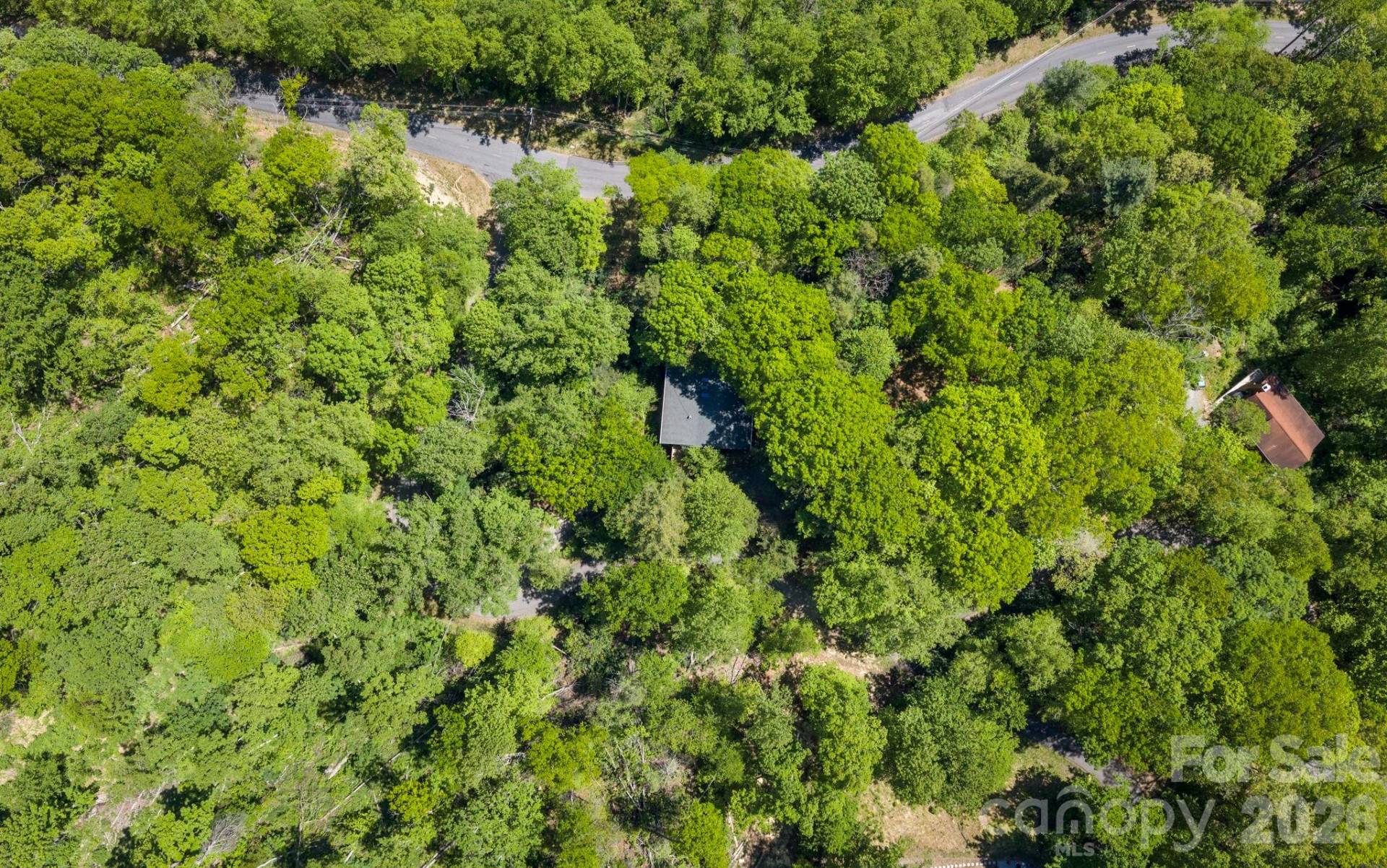 14 Weeping Cherry Forest Road - Photo 30