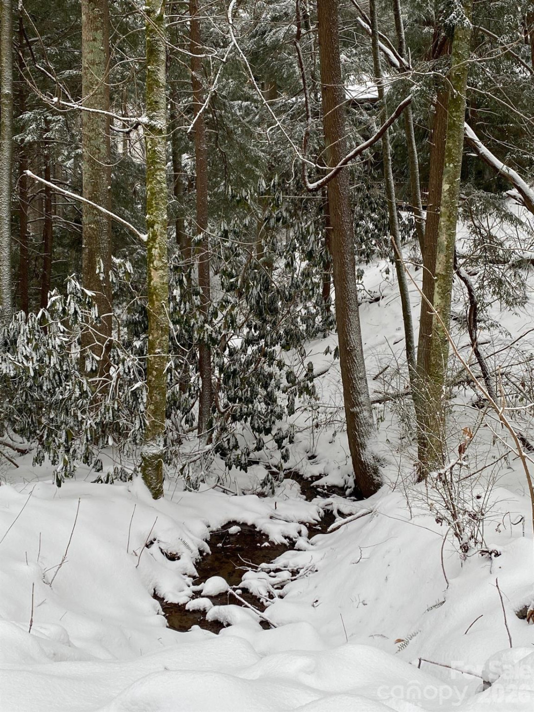 14 Weeping Cherry Forest Road - Photo 31