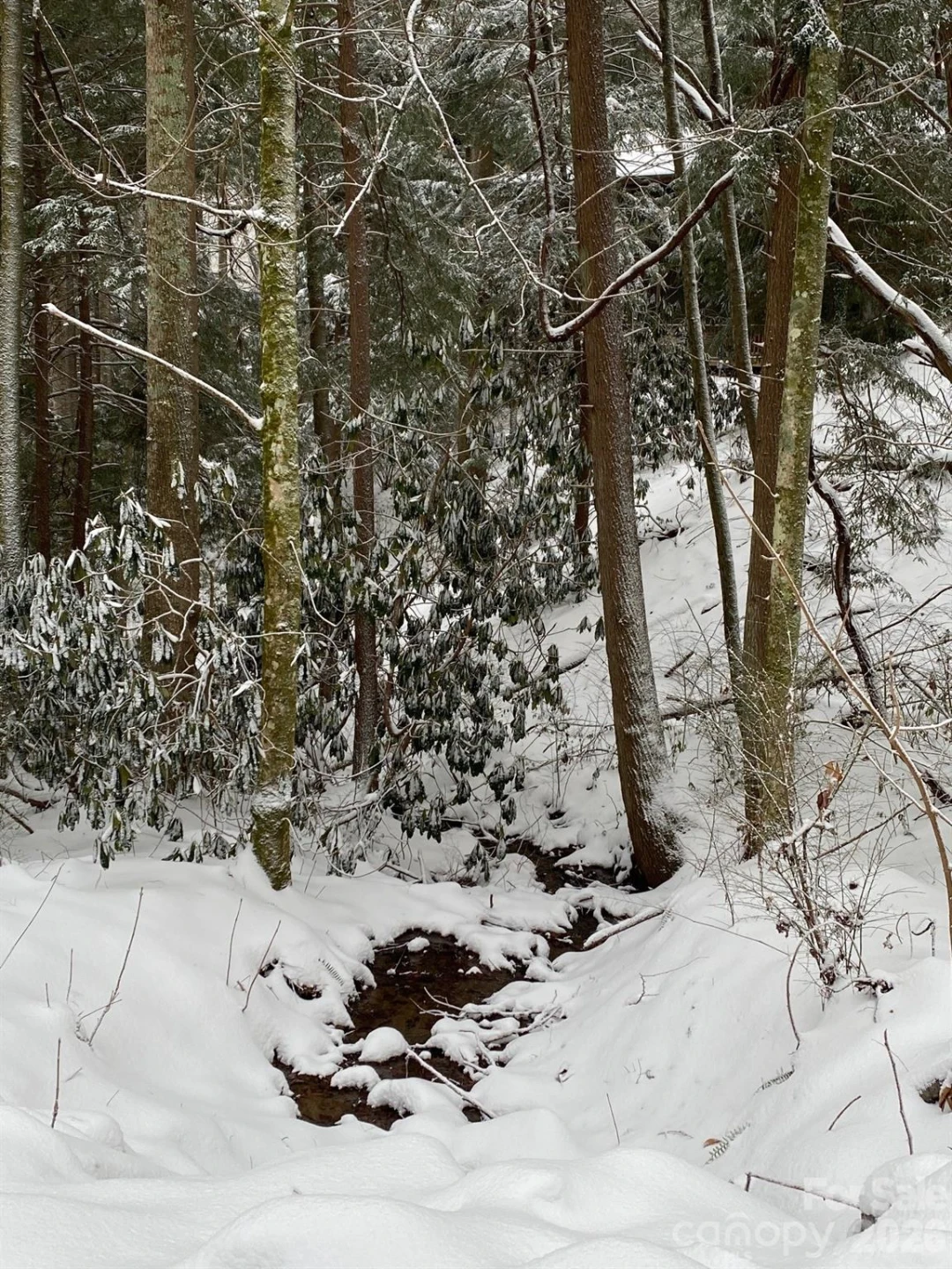 14 Weeping Cherry Forest Road - Photo 31