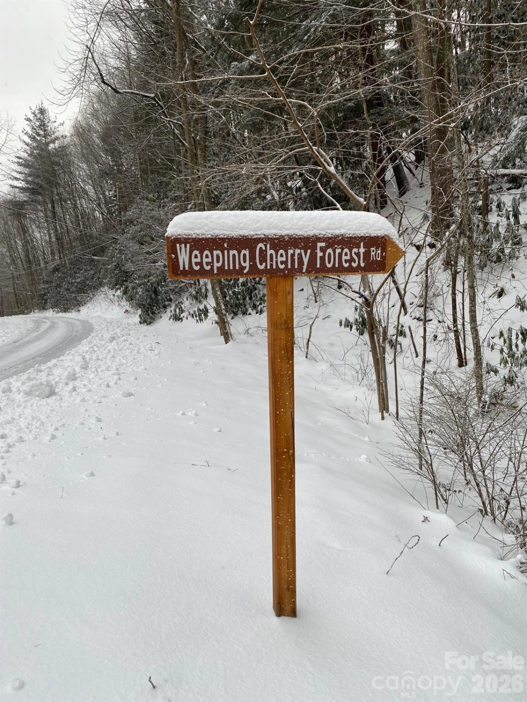 14 Weeping Cherry Forest Road - Photo 32