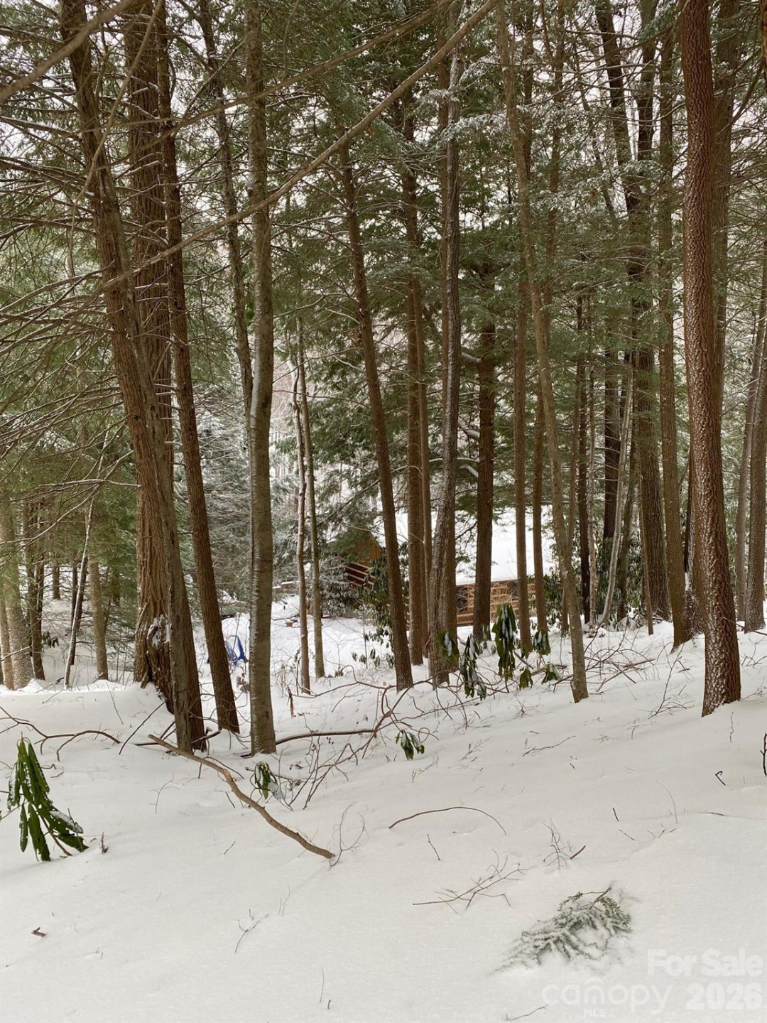 14 Weeping Cherry Forest Road - Photo 33