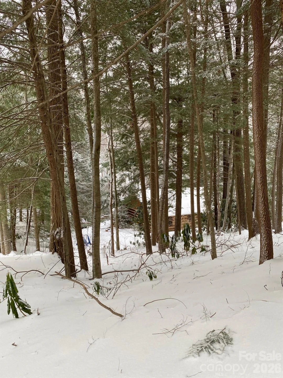 14 Weeping Cherry Forest Road - Photo 33