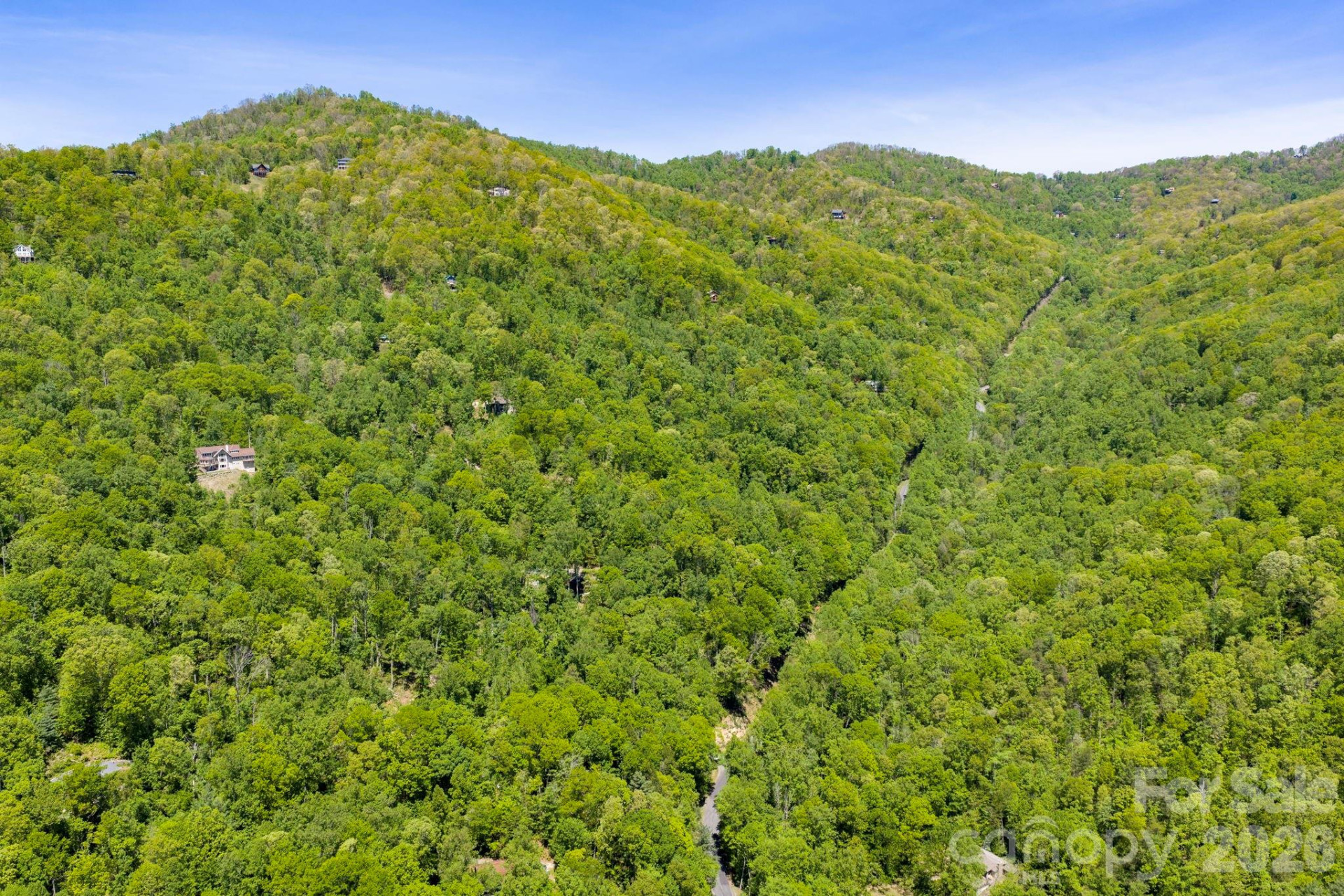 14 Weeping Cherry Forest Road - Photo 35
