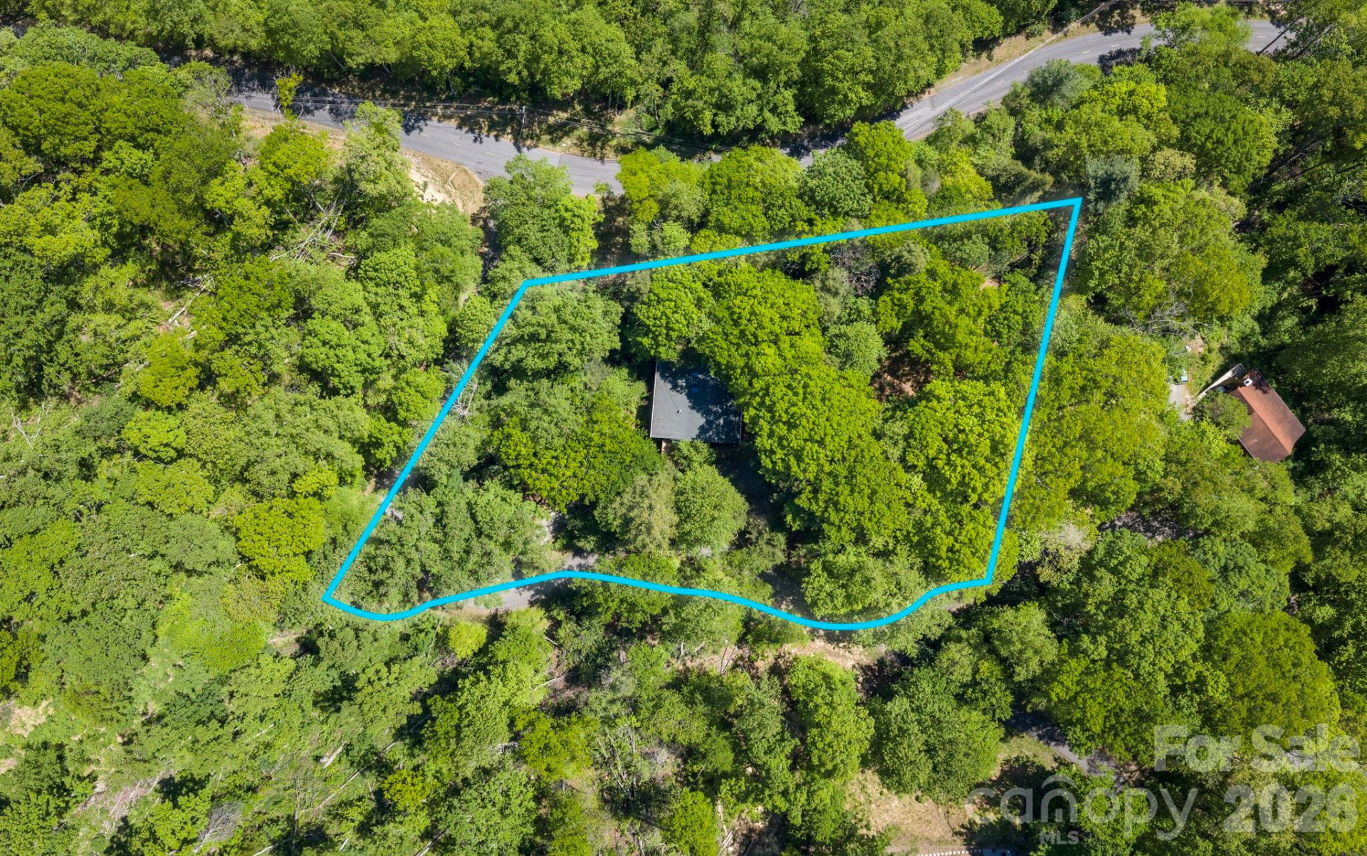 14 Weeping Cherry Forest Road - Photo 6