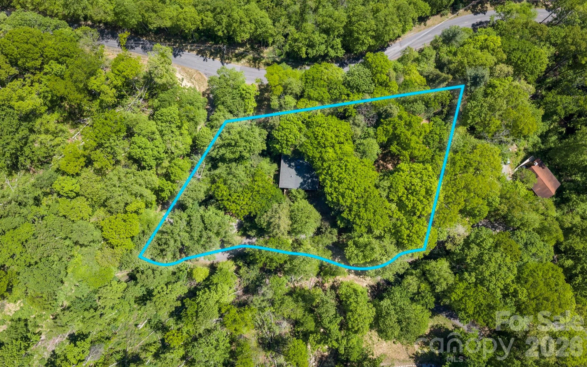 14 Weeping Cherry Forest Road - Photo 6
