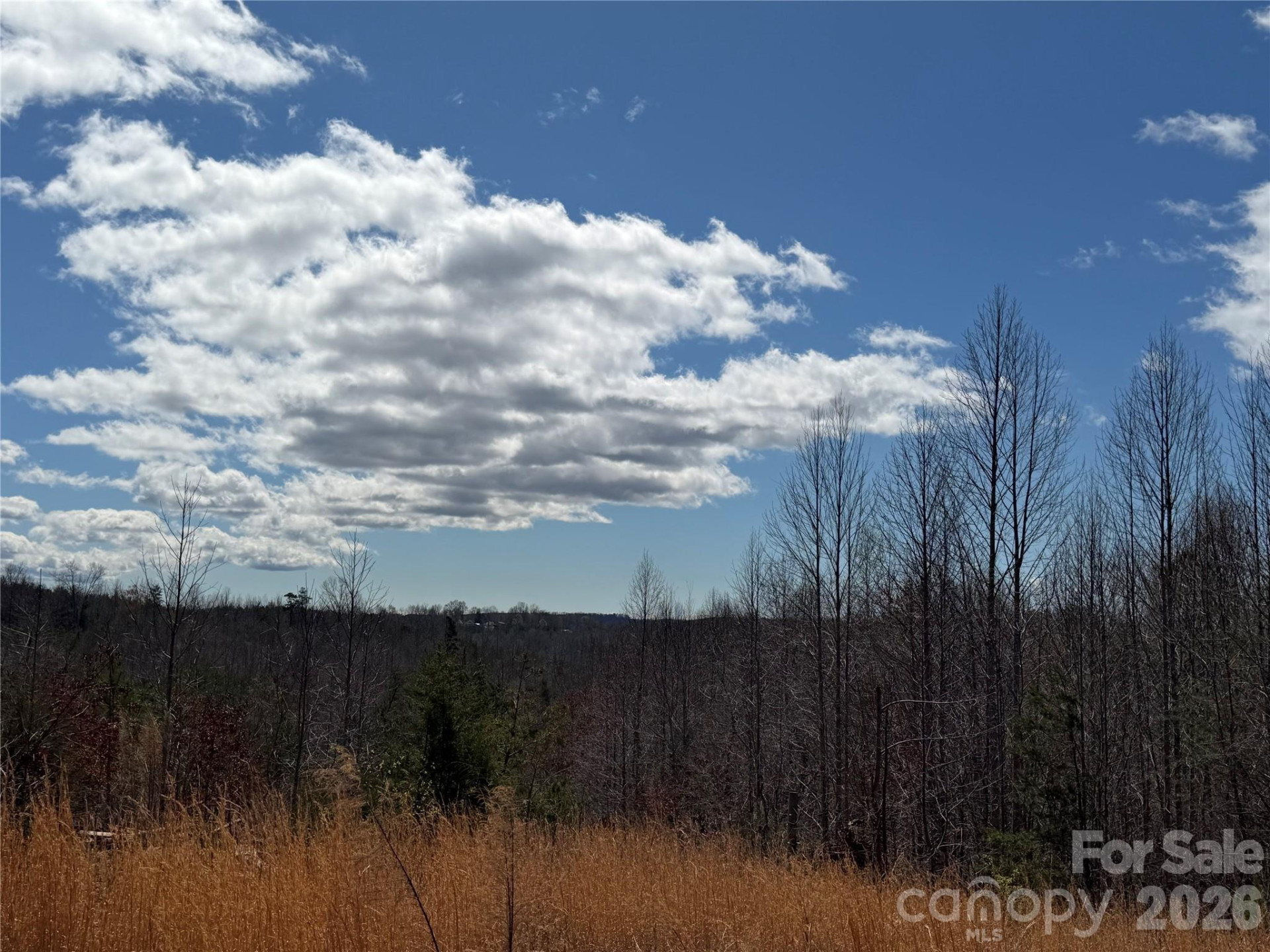 304 Woodview Farm Trail - Photo 2