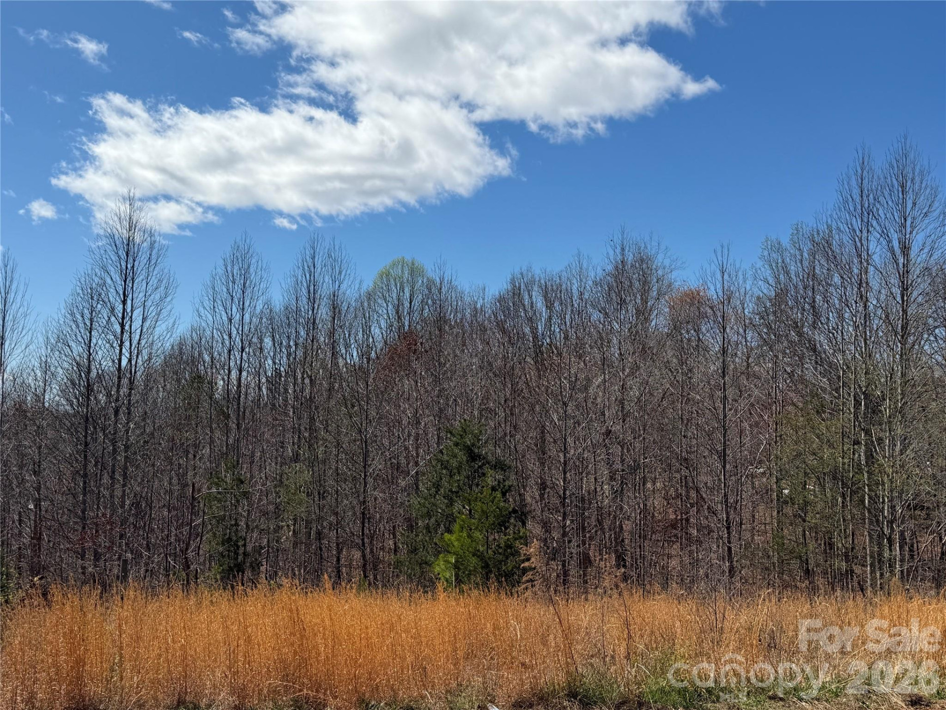 304 Woodview Farm Trail - Photo 4