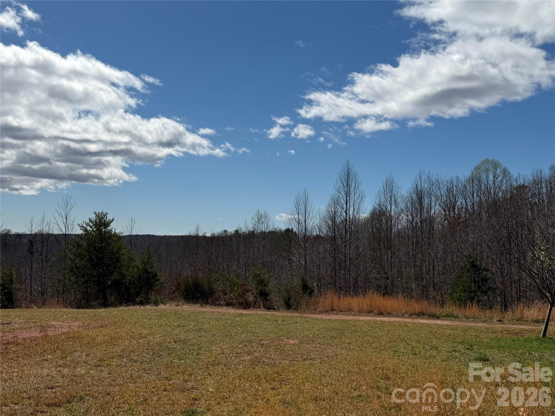 304 Woodview Farm Trail - Photo 6