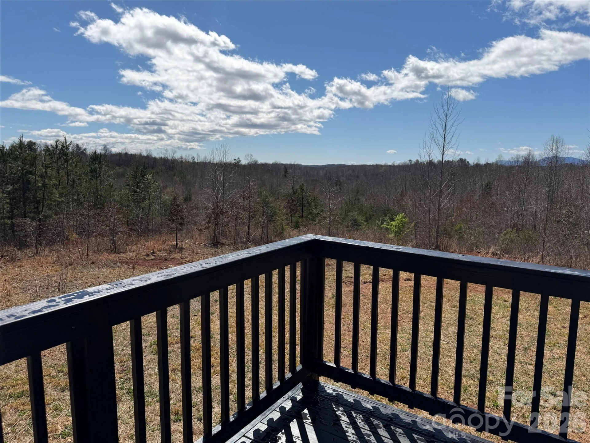 304 Woodview Farm Trail - Photo 7