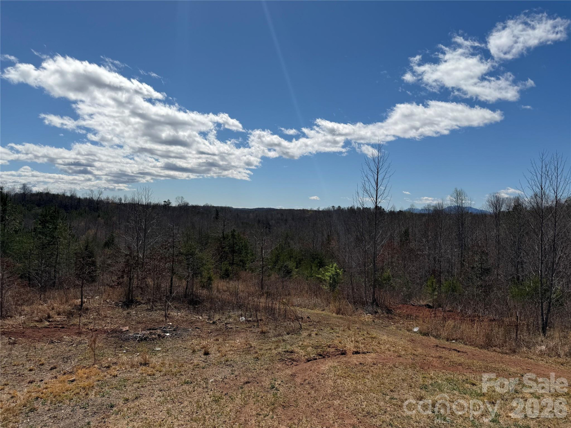 304 Woodview Farm Trail - Photo 8