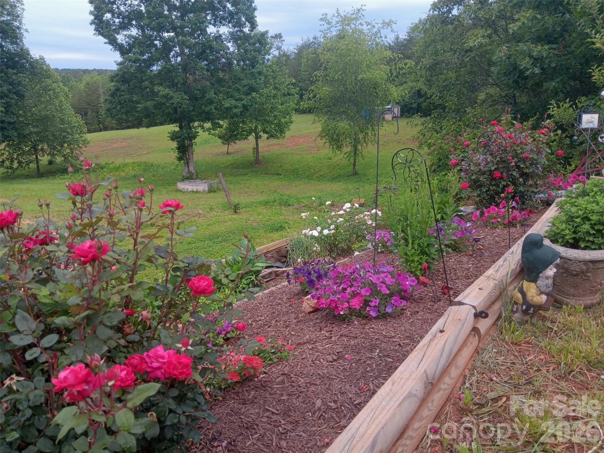 303 Terry Road - Photo 41