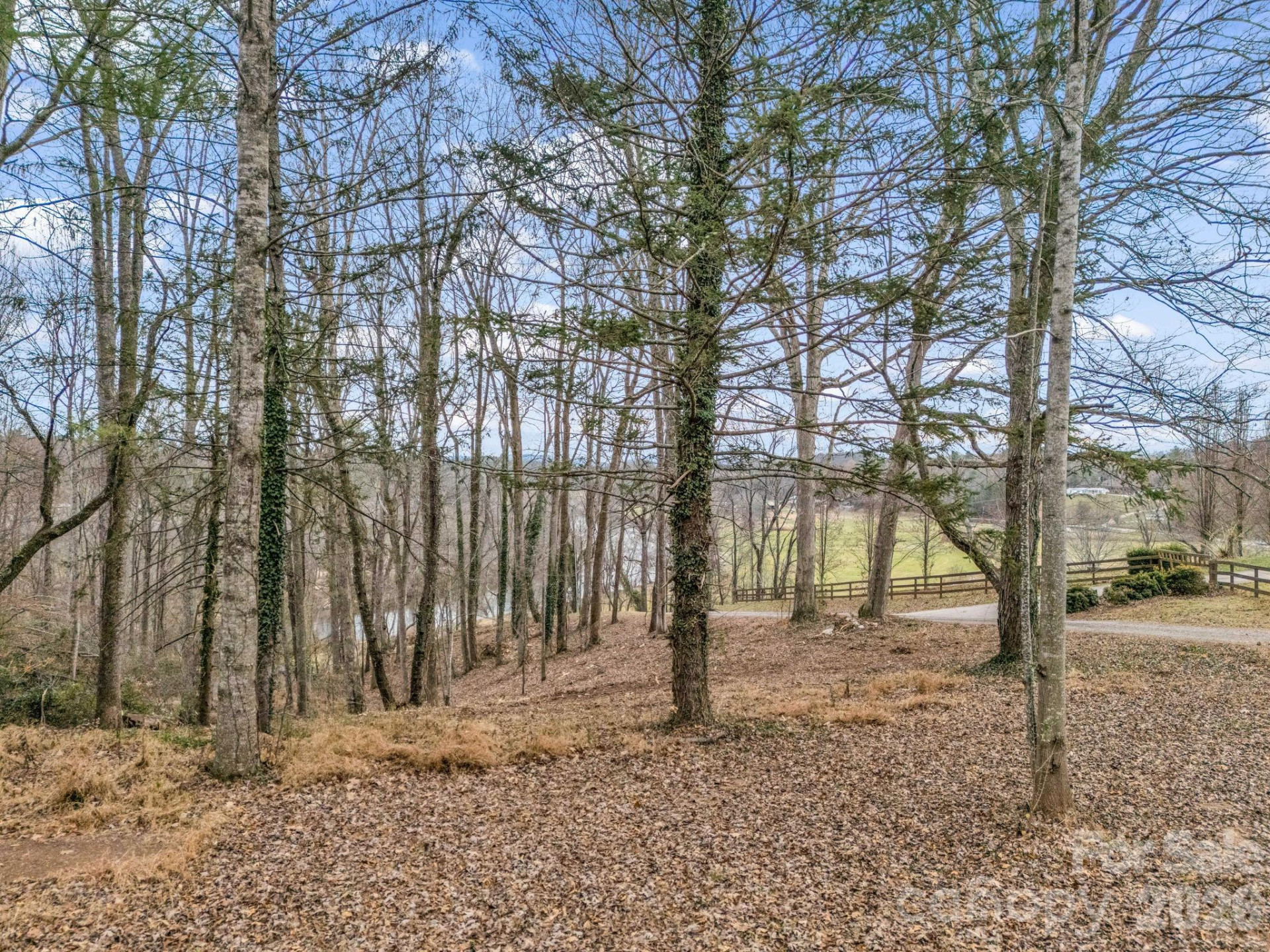 660 & 9999 Glenn Bridge Road - Photo 3