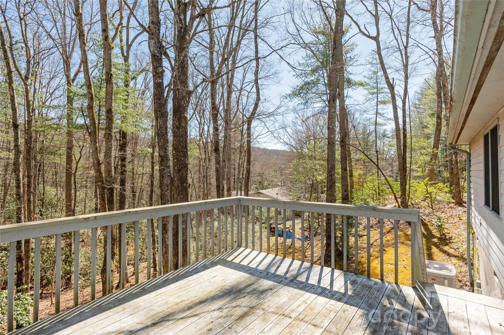 221 Timberlane Drive - Photo 13