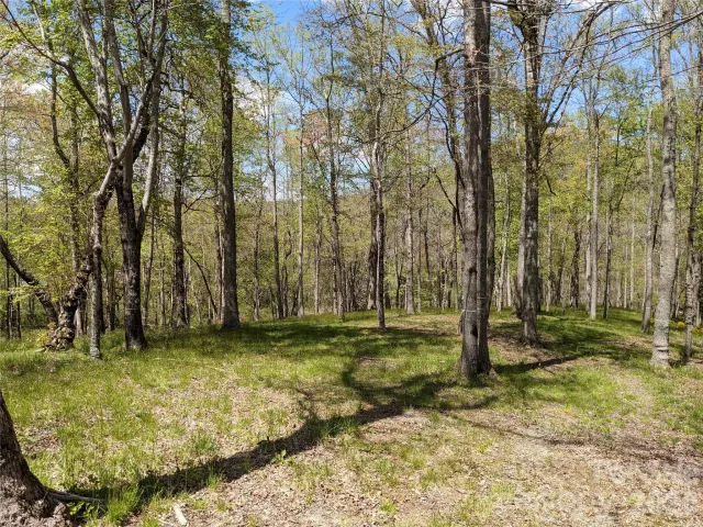 27 Woodtrail Way