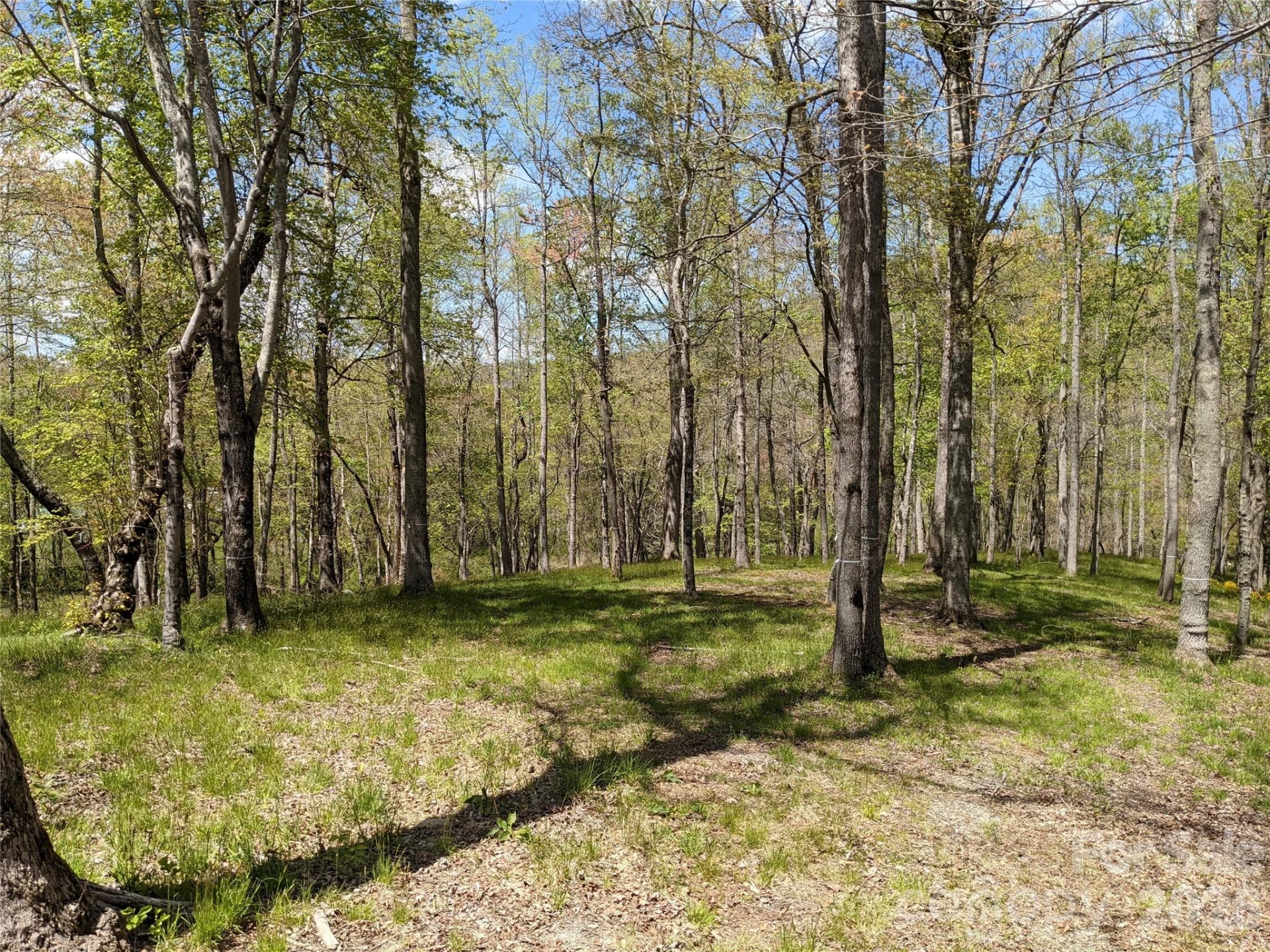 27 Woodtrail Way