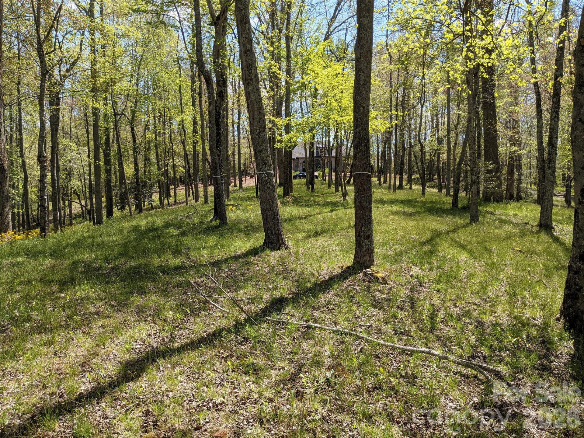 27 Woodtrail Way - Photo 2