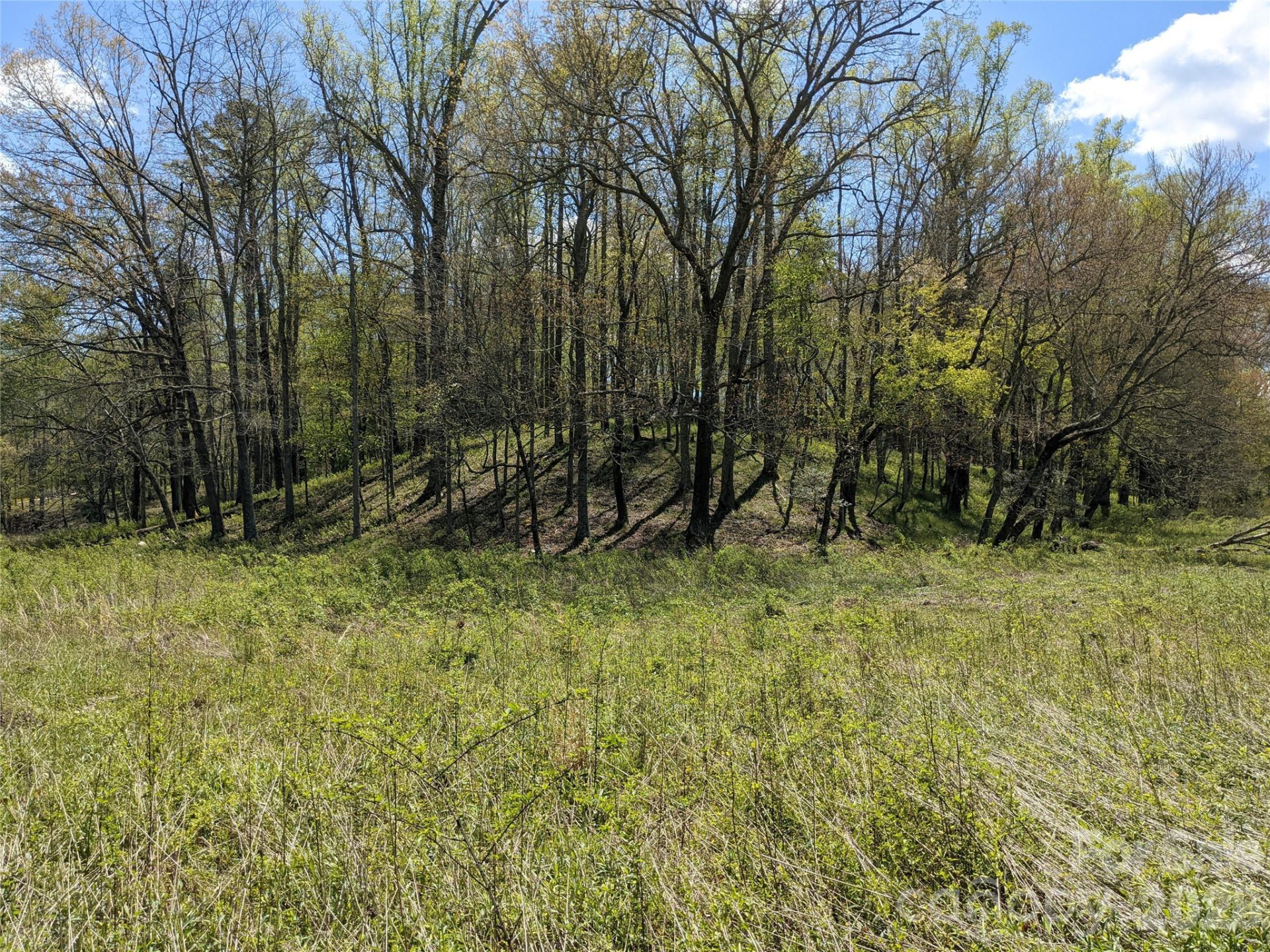 27 Woodtrail Way - Photo 11