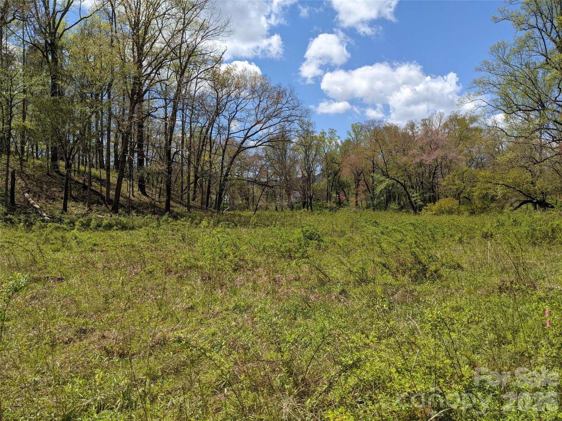 27 Woodtrail Way - Photo 12