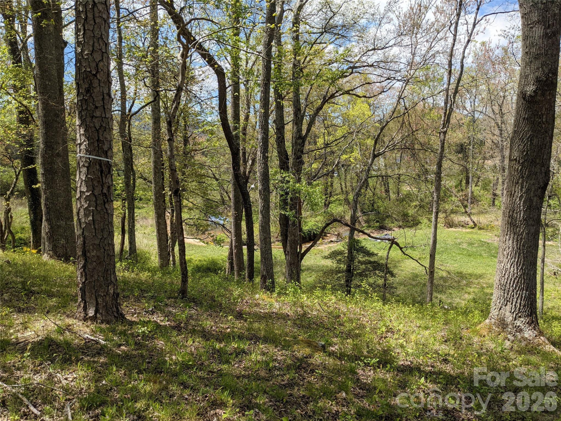 27 Woodtrail Way - Photo 14