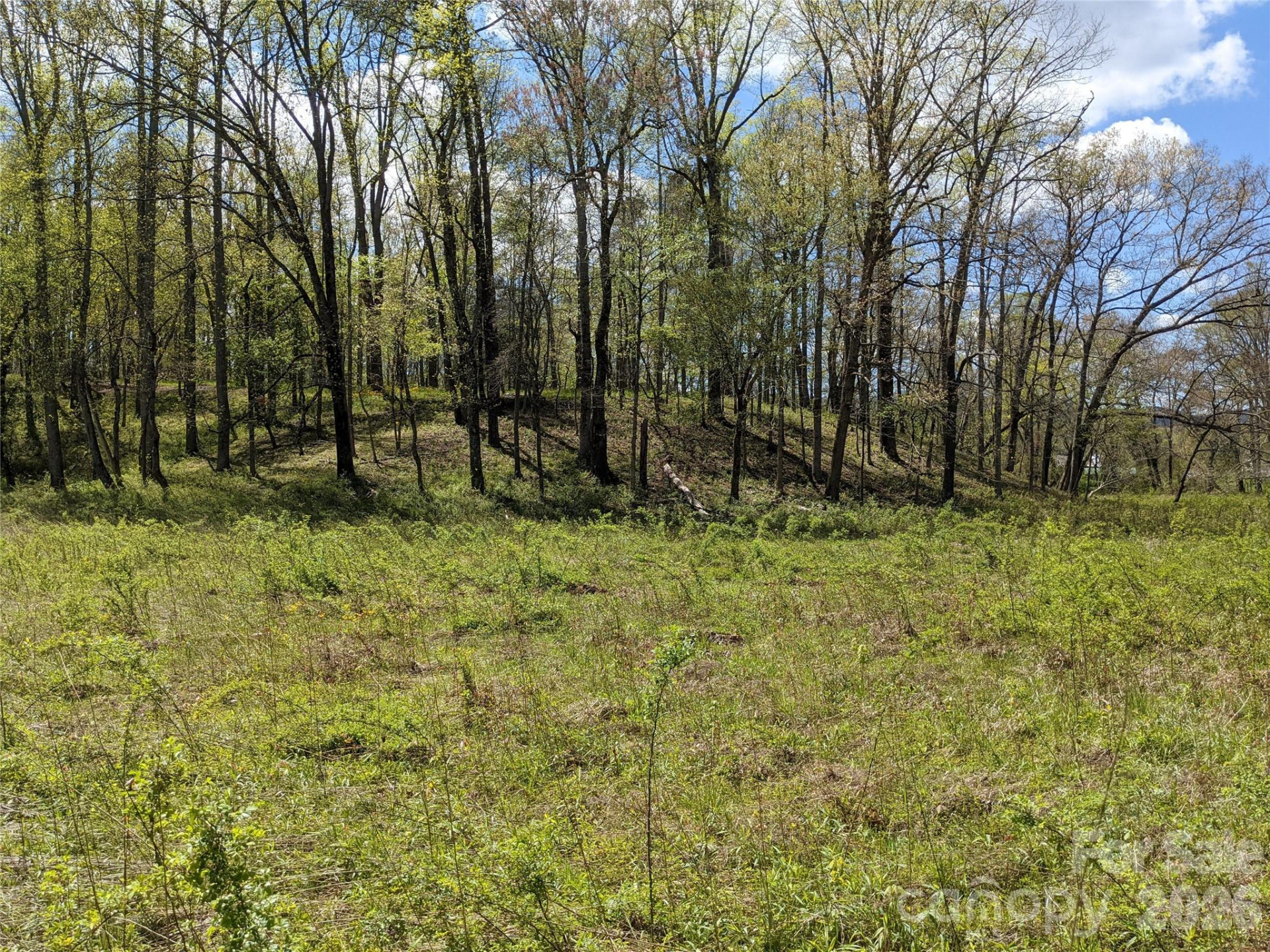 27 Woodtrail Way - Photo 15